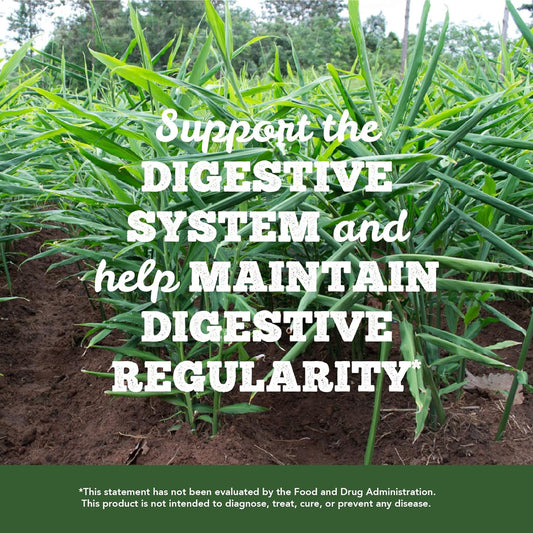 St. Francis Herb Farm - Digestive Bitters 100Ml - Herbal Supplements -