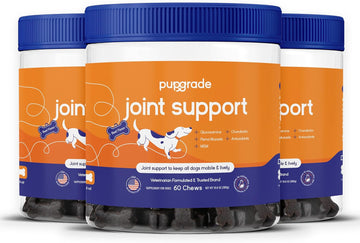 PupGrade Joint Support Supplement for Dogs - Natural Glucosamine Chondroitin with MSM - Hip & Joint Pain Relief - Recommended for Hip Dysplasia, Arthritis & Joint Disease - USA Tested - 180 Chews