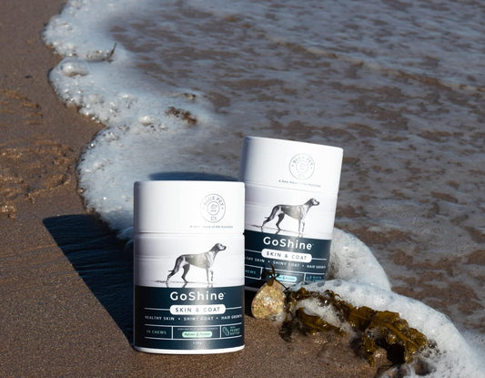 Blue Pet Co - Goshine Skin & Coat Health Supplement For Dogs - Promotes Healthy Skin, Shiny Coat & Hair Growth - Enriched With Unique Seaweed Complexes - With Peanut Butter - 90 Chews