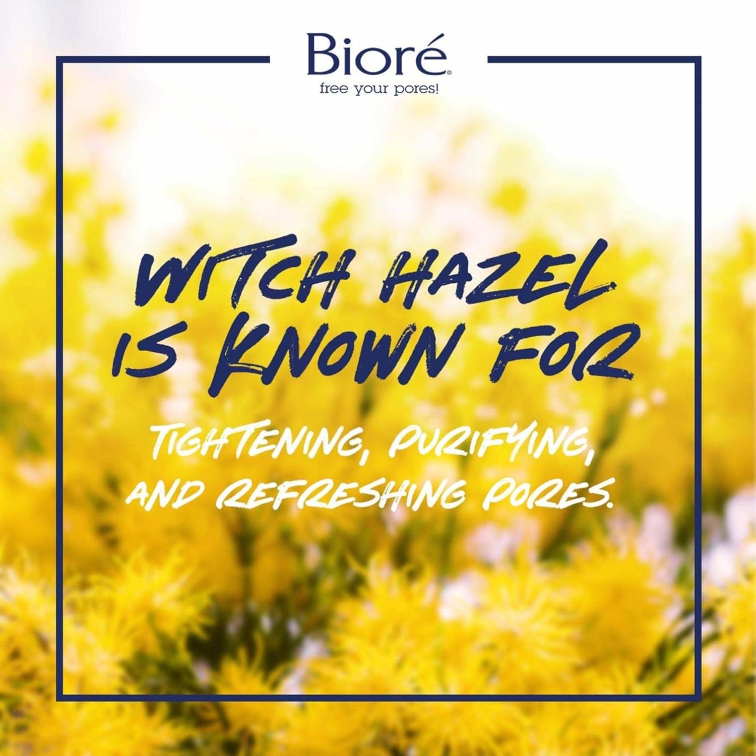 Bioré Witch Hazel Pore Clarifying Toner, with 2% Salicylic Acid for Acne Clearing and Balanced Skin Purification, 8 Ounce (HSA/FSA Approved) : Beauty & Personal Care