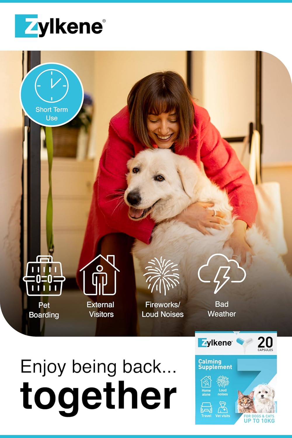 Zylkene Calming Supplements for Large Dogs (15 to 60kg) 450mg | Helps ease Pet Anxiety | Helps Pets cope with short-term challenging situations | Easily administered | 20 capsules : Amazon.co.uk: Pet Supplies