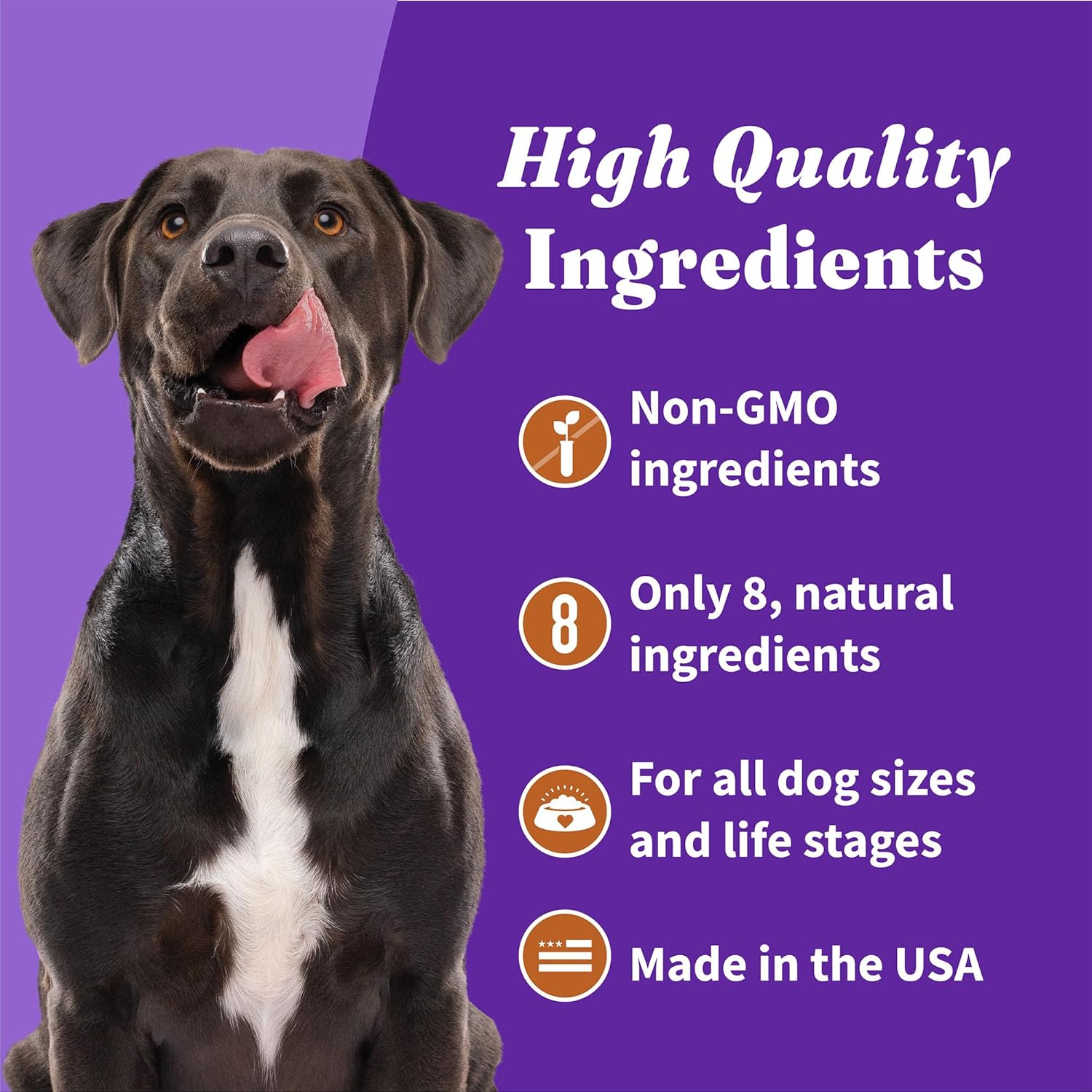 Halo Plant-Based Dog Treats with Peanuts & Pumpkin, Vegan Dog Treat Pouch, 8 oz bag