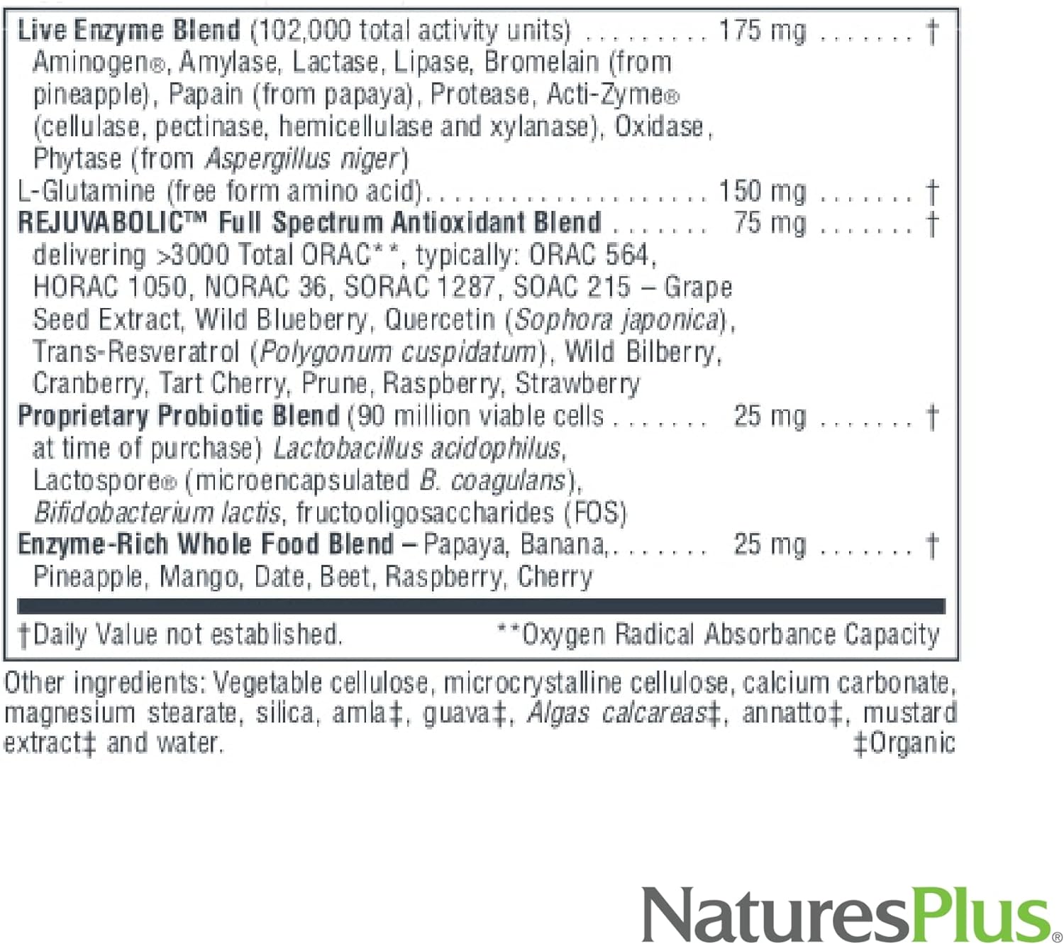 NaturesPlus AgeLoss Digestion Support - 90 Capsules - Prebiotics, Live Enzymes & 150 mg L-Glutamine - Gluten Free - 30 Servings : Health & Household