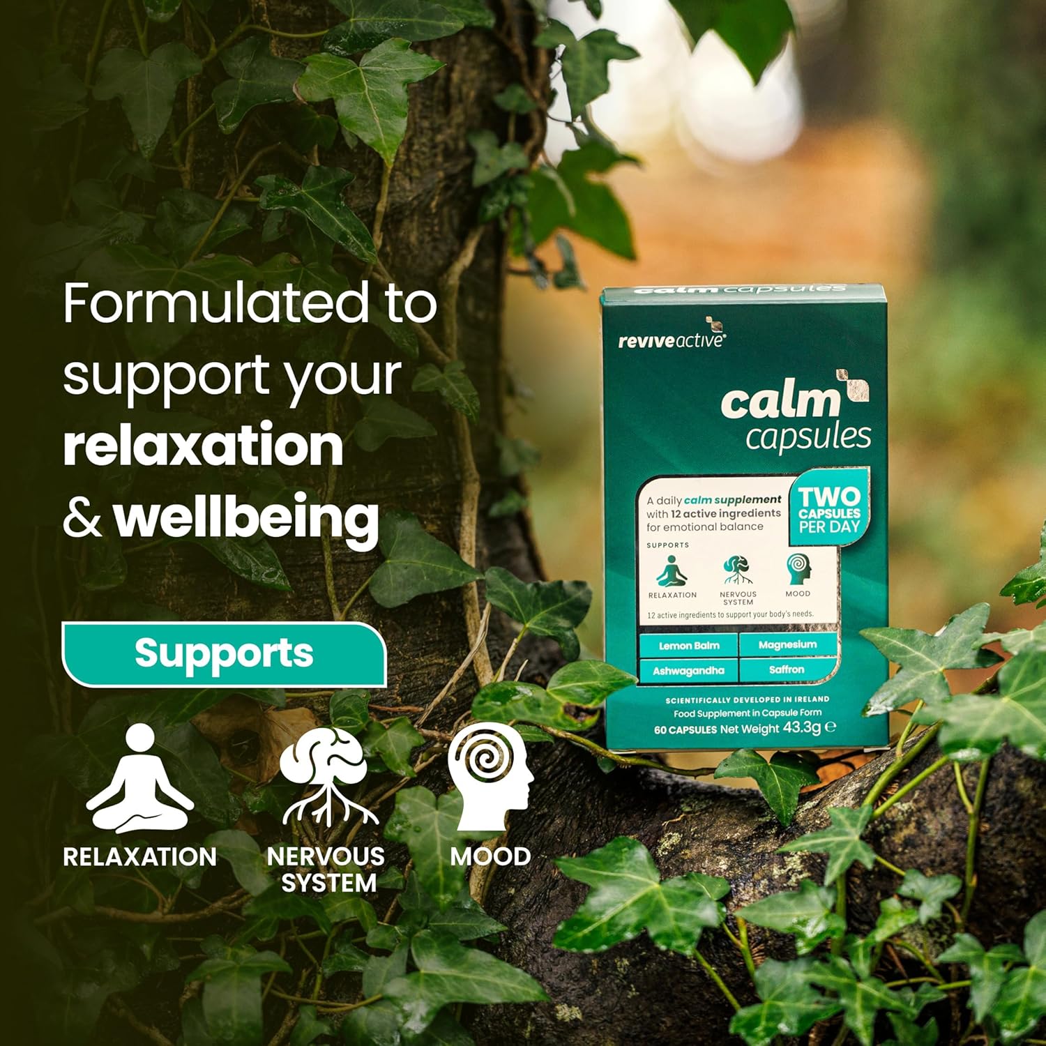 Revive Active Calm Capsules - 12 Active Ingredients - Ashwagandha with Essential Vitamins and Magnesium - Supports Energy Levels, Nervous System, Relaxation & Mood - 60 Capsules : Amazon.co.uk: Health & Personal Care