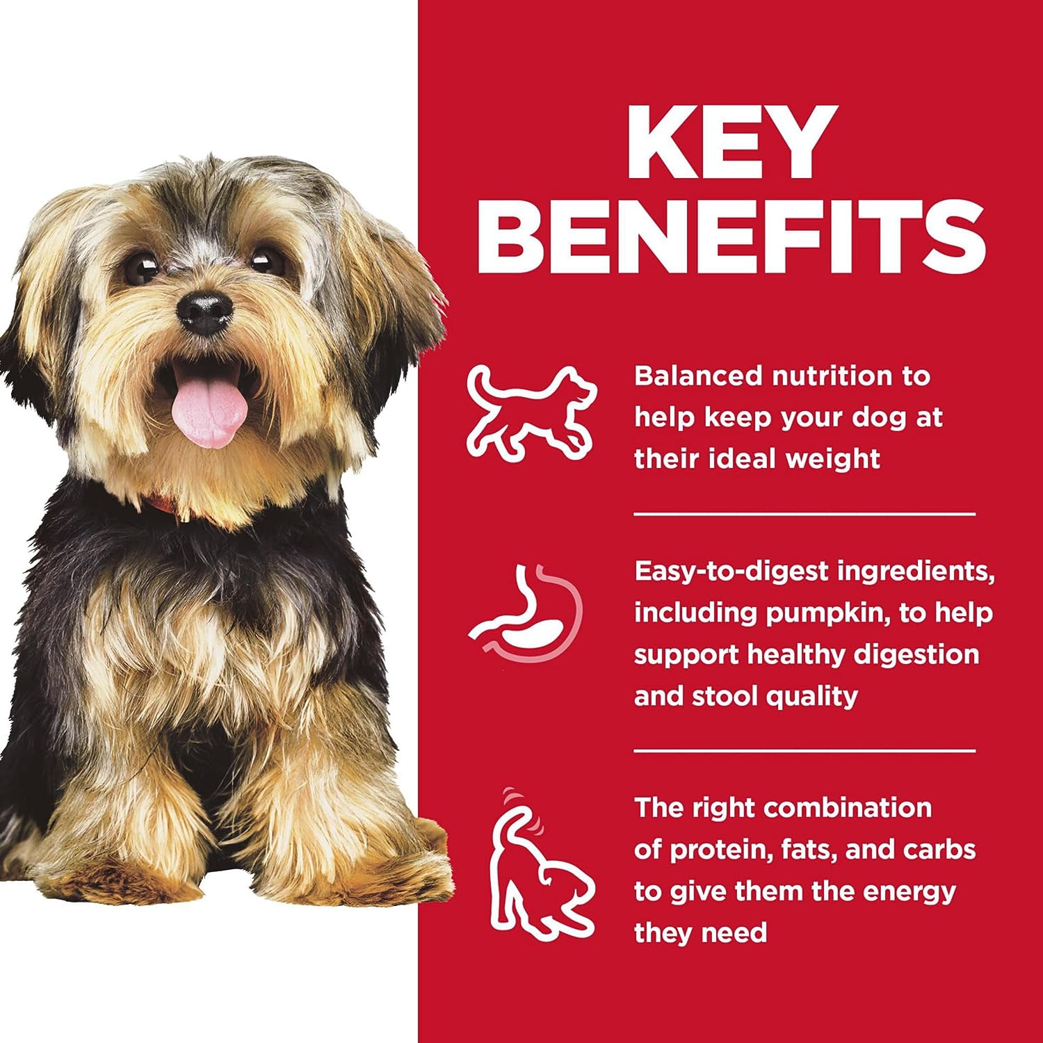 Hill's Science Diet Small & Mini, Adult 1-6, Small & Mini Breeds Premium Nutrition, Wet Dog Food, Chicken & Barley Loaf, 5.8 oz Can, Case of 24