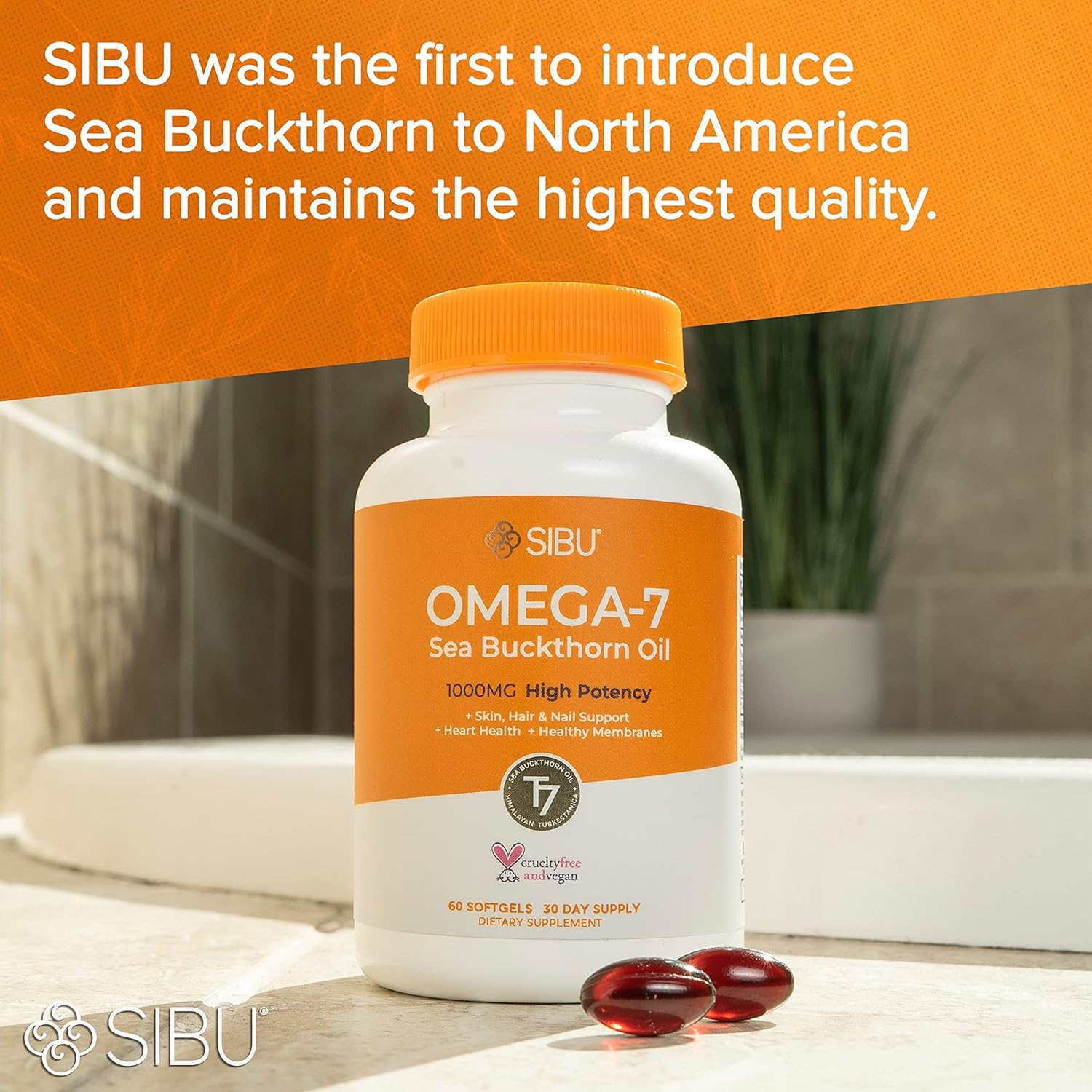 sibu Omega-7 Softgels, Premium Organic Himalayan Sea Buckthorn Oil (60ct, 30 Day Supply) – Supplement for Healthy Skin, Hair, Nails and Dryness : Health & Household