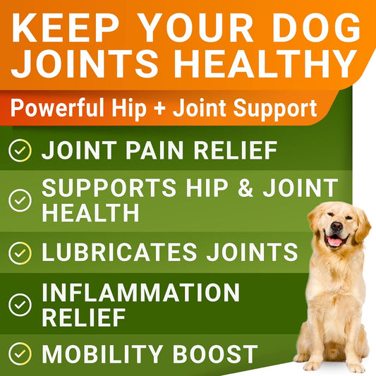 Large Breed Glucosamine Hemp Dog Joint Supplement - Hemp Chews for Dogs Hip Joint Pain Relief - Omega 3, Chondroitin, MSM - Advanced Mobility Hemp Oil Treats for Large Dogs - Made in USA - 360 Ct