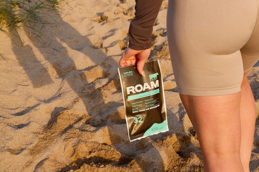 Roam Natural Protein Bars, 6X45Gram Healthy Snacks, Ideal For Carnivore Diet, Gluten Free Keto Sticks (Taster Pack, 6X45G Bars + 2 Bites Bags)