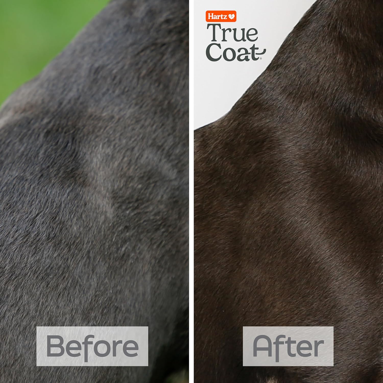 New! Hartz True Coat Short & Smooth Coat Dog Shampoo, Soothes & Shines with Oat Milk, Coconut Oil & Vitamin E