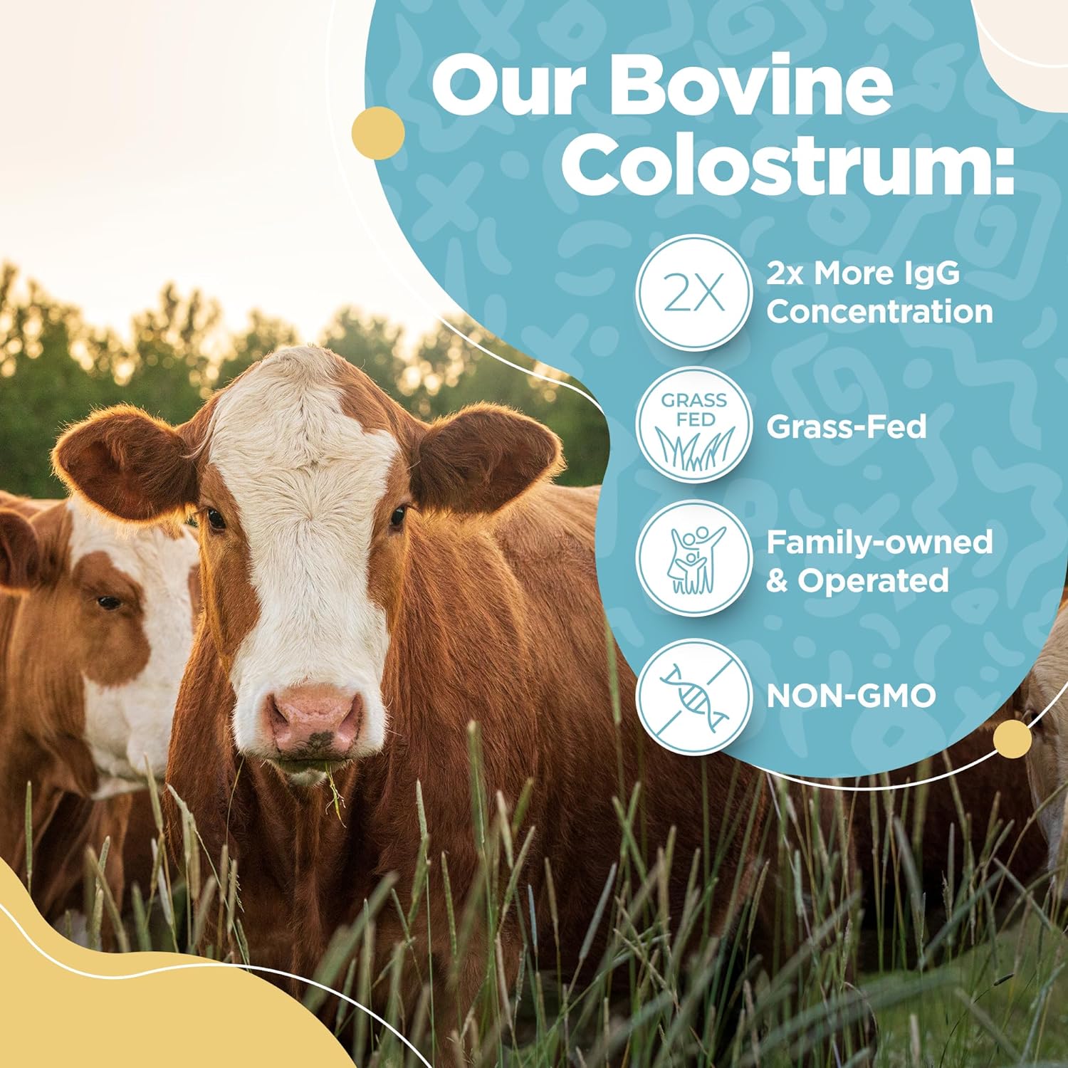 InstaSkincare Bovine Colostrum Powder - Pure Bovine Colostrum for Humans - Grass Fed Colostrum Supplement for Gut Support, Immune Health and Hair Growth - Made in USA 3.17 OZ : Health & Household