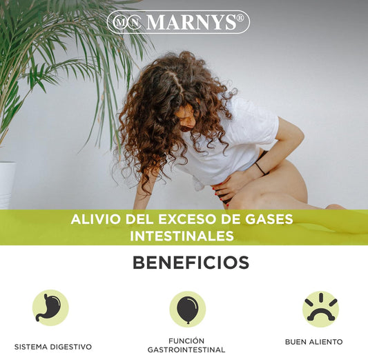 Marnys Active Charcoal And Anise And Mint Essences - Slimming Aid, To Eliminate Intestinal Gases, Relieves Bloating And Stomach Pain, Cleansing Supplement - 60 Capsules