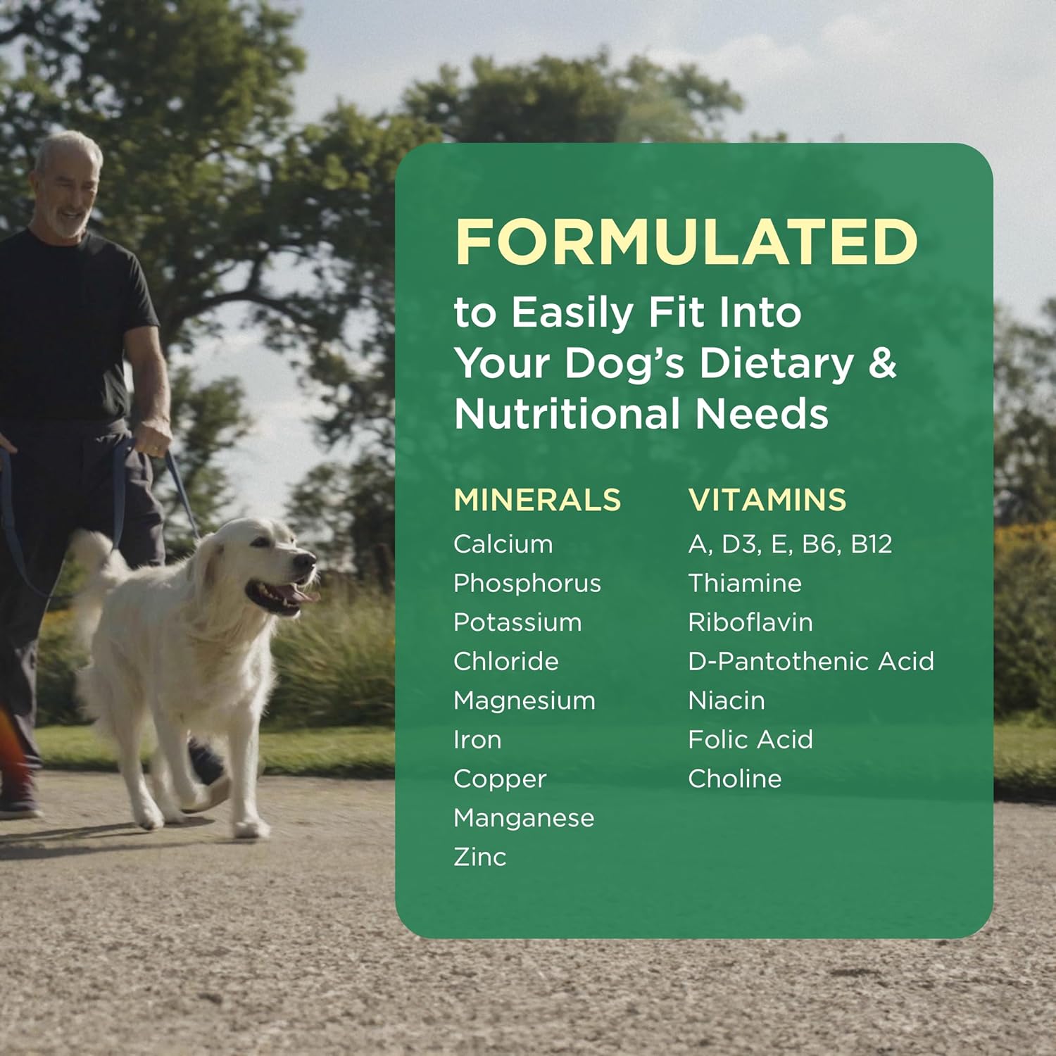 Pet-Tabs Plus Multivitamin and Mineral Supplement for Dogs with Special Nutritional Needs, Chewable Tablet, 180 Count Bottle : Pet Multivitamins : Pet Supplies