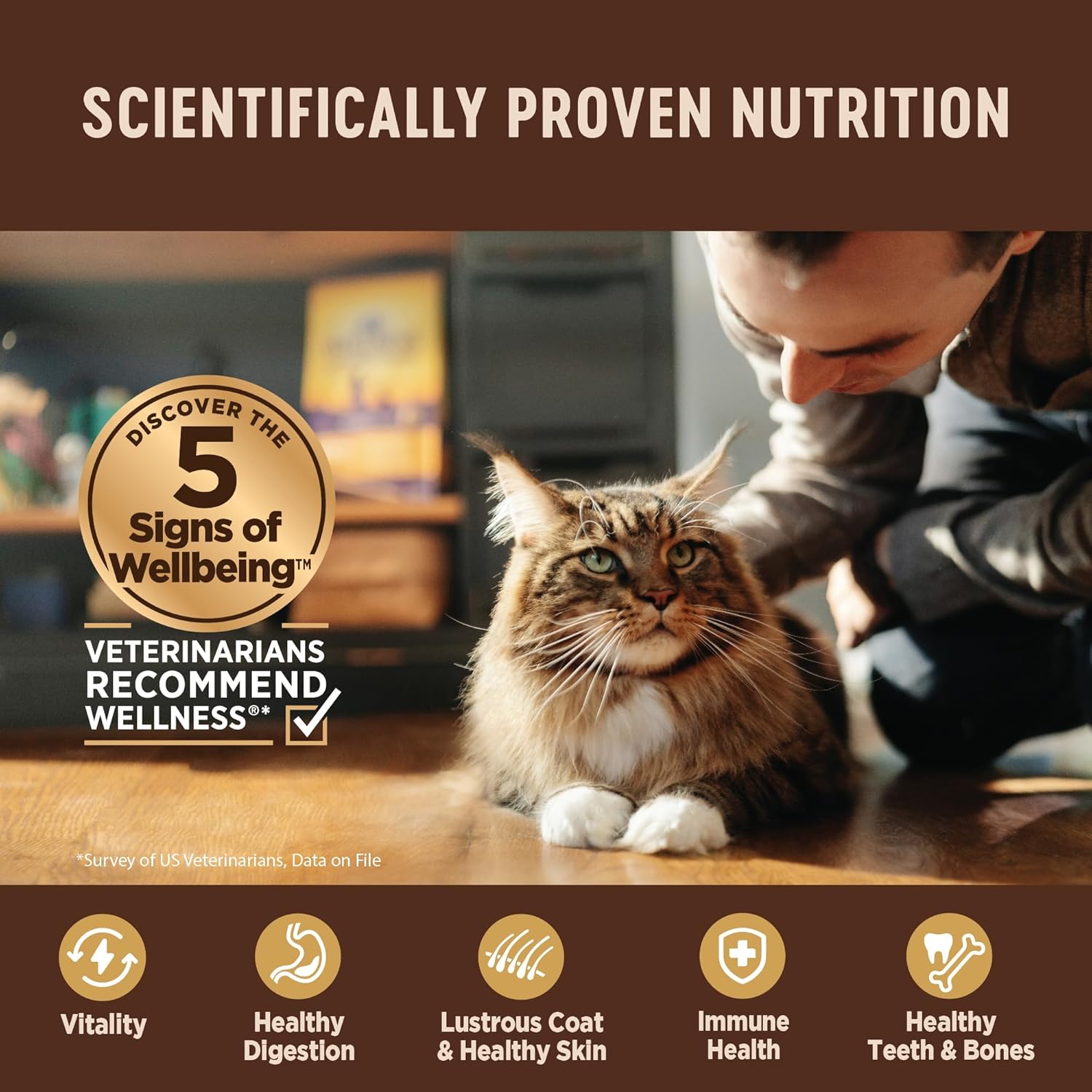 Wellness CORE+ Digestive Health Grain-Free Natural Wet Cat Food, Sensitive Stomach, Easily Digestible (Chicken/Turkey Variety Pack, 3 Ounce Can, 12 Pack)