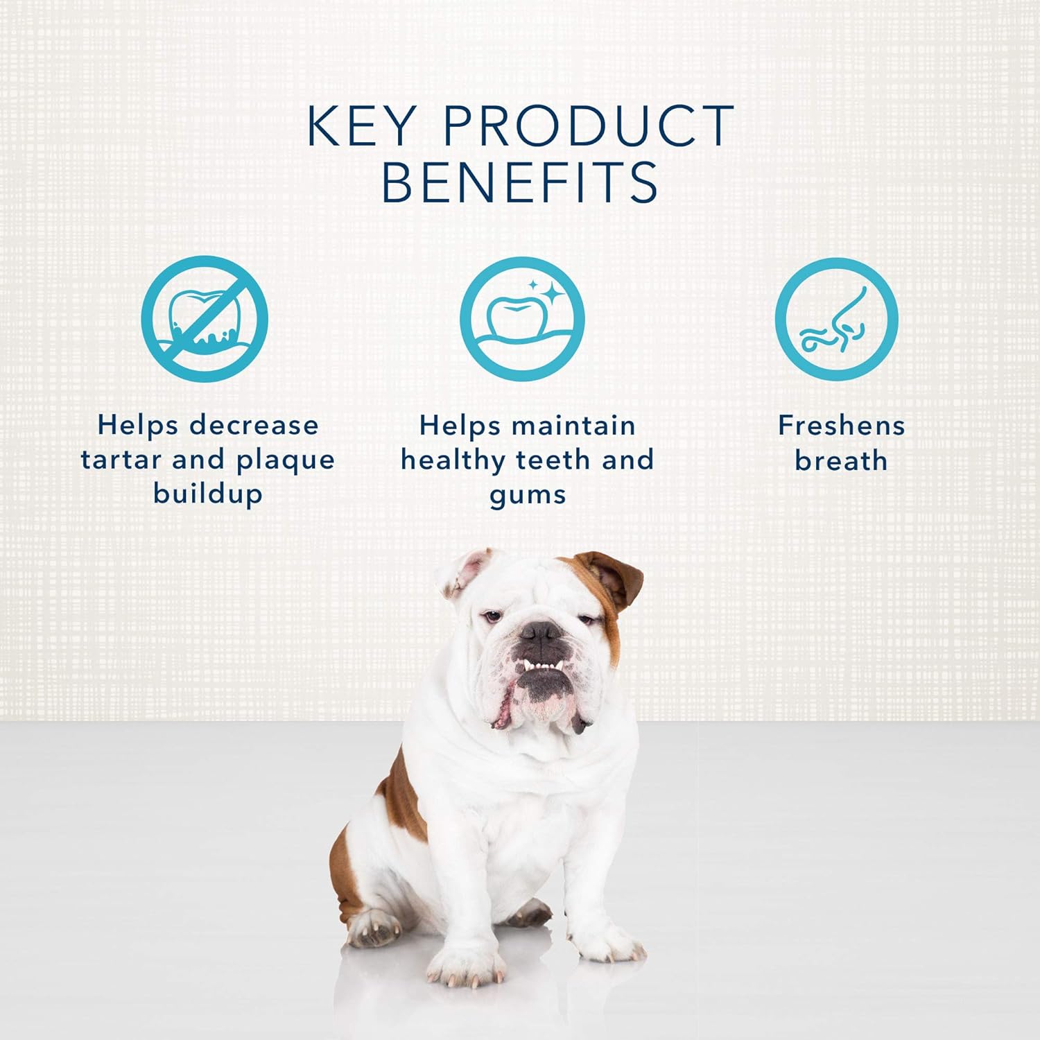 Blue Buffalo Dental Bones Regular Natural Dental Chew Dog Treats, (25-50 lbs) 12-oz Bag : Pet Snack Treats : Pet Supplies