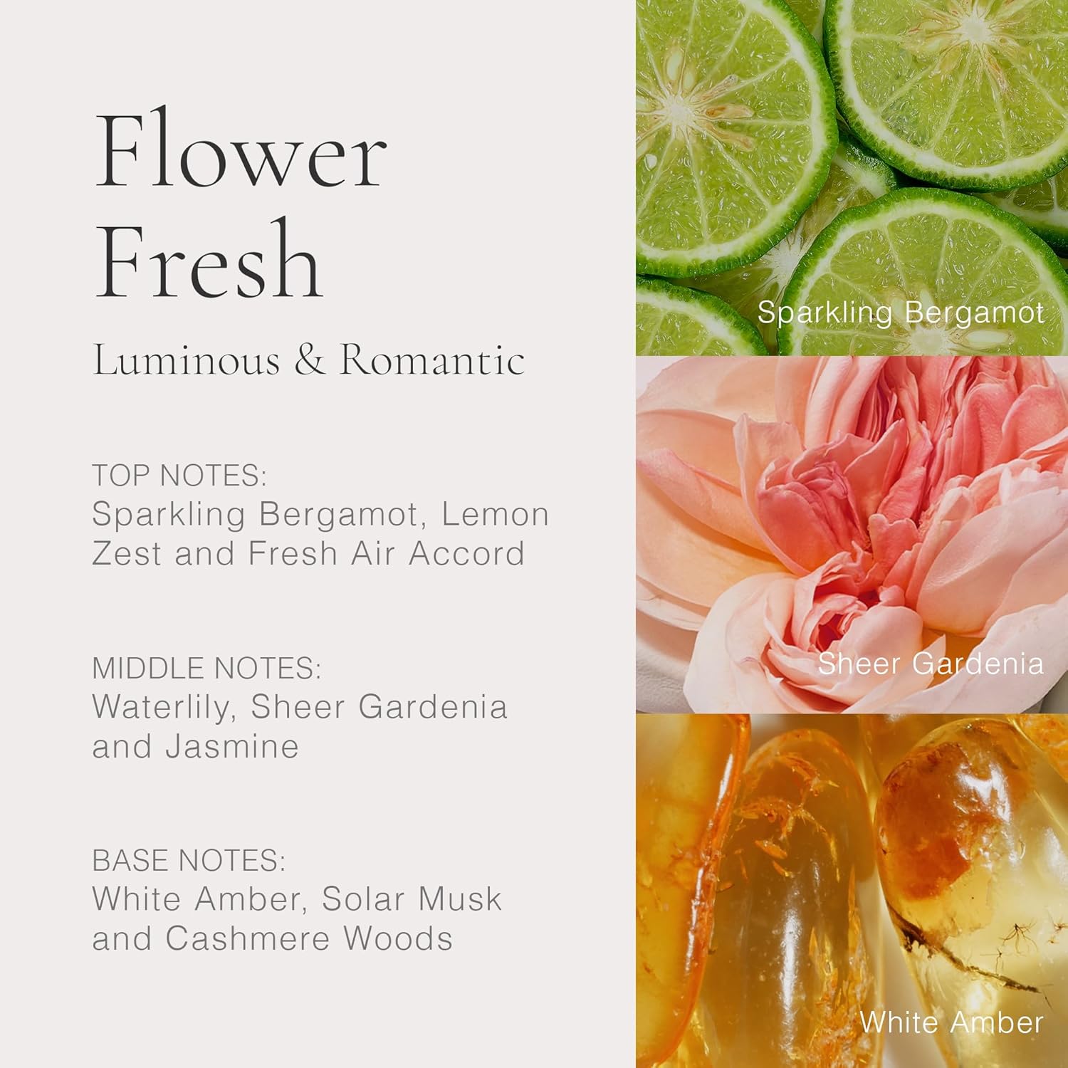 Clean Classic Flower Fresh 30Ml : Beauty & Personal Care