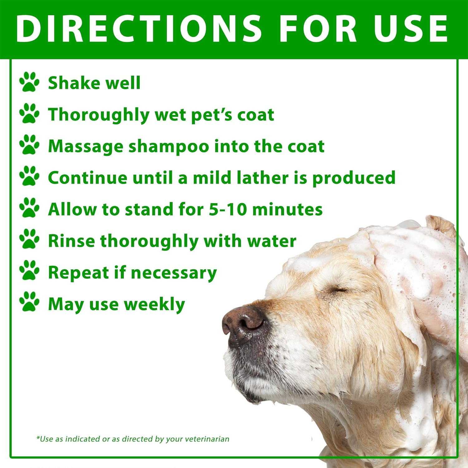 Benzoyl Peroxide Shampoo For Dogs : Vetoquinol BPO-3 Shampoo for Dogs, Cats & Horses (3% Benzoyl Peroxide) – 16oz – Deep Cleaning, Medicated Shampoo Opens & Flushes Hair Follicles – Degreases Oily Coats – Soothes Red, Flaky, Itchy Skin