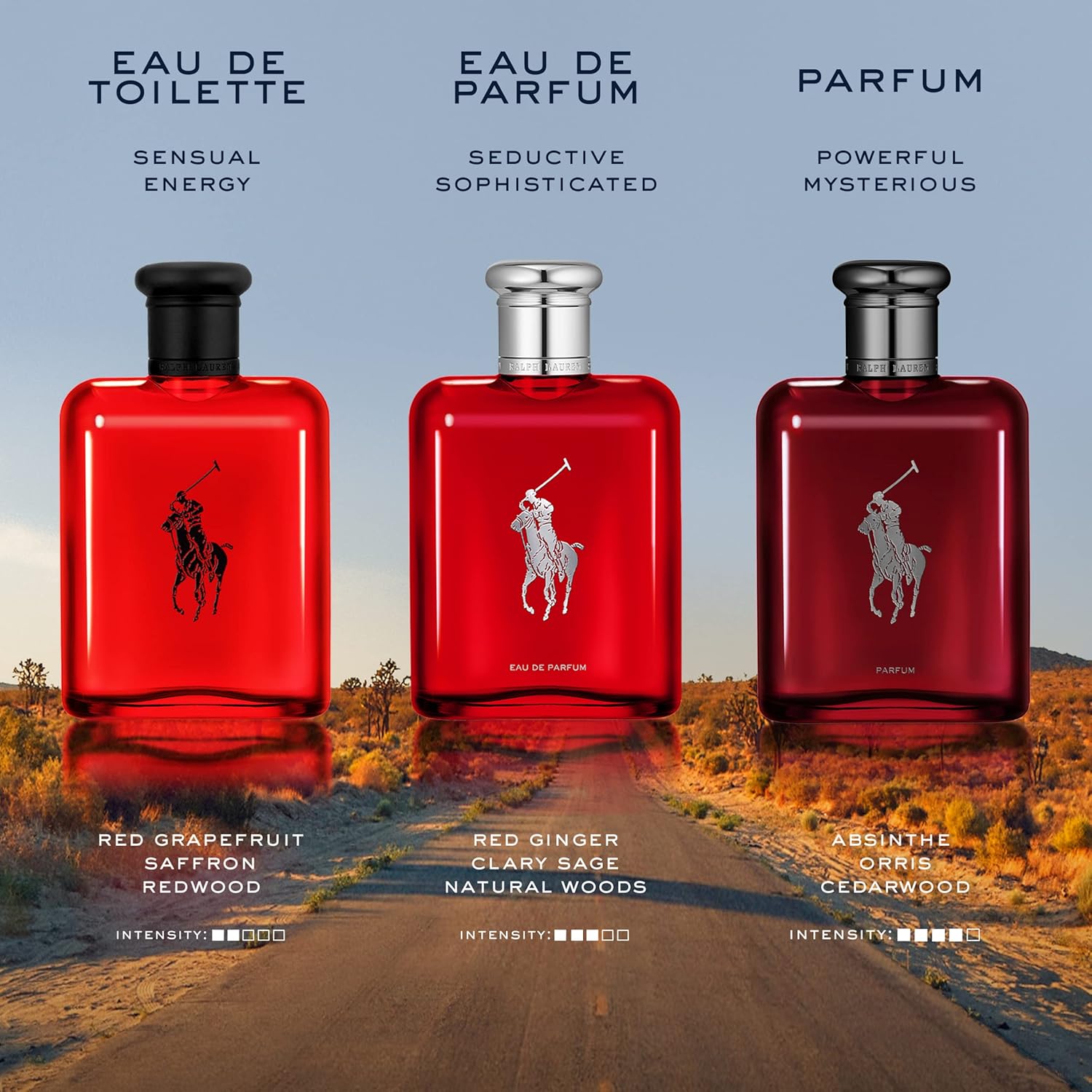 Ralph Lauren - Polo Red - Parfum - Men's Cologne - Refillable Cologne Set - With Absinthe, Cedarwood, and Musk - Intense Fragrance - 2.5 Fl Oz Bottle & 5.1 Fl Oz Refill : Beauty & Personal Care