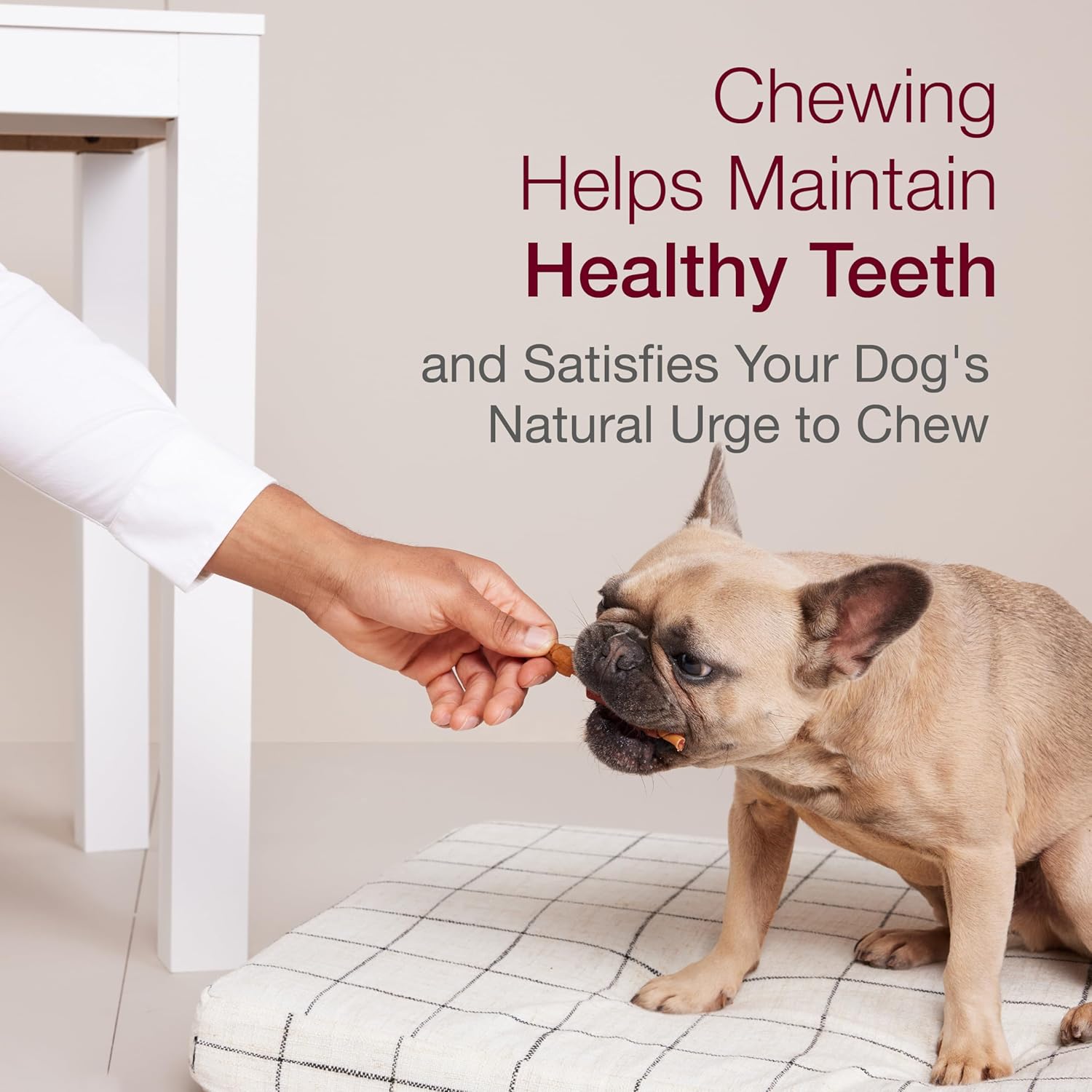 SmartBones Smart Kabobz, Treat Your Dog to a Rawhide-Free Chew Made With Real Chicken, Pork and Duck, 18 Count