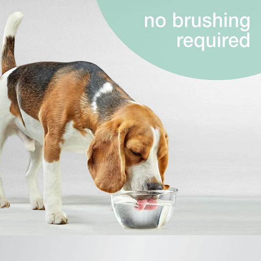 Nylabone Advanced Oral Care Cat & Dog Water Additive for Dental Care - Liquid Tartar Remover - Dog Breath Freshener & Teeth-Cleaning Liquid - Peppermint (16 oz.)