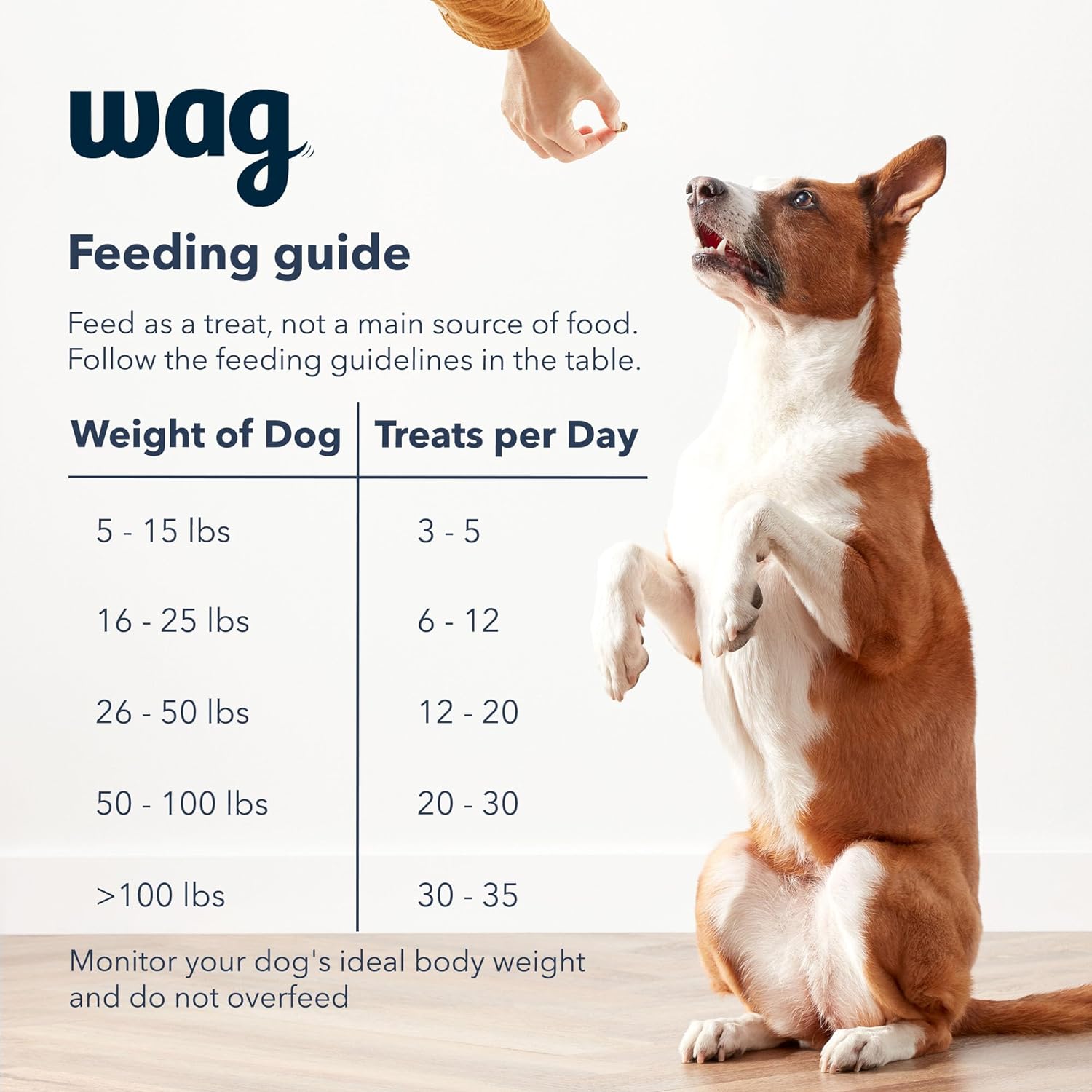Amazon Brand – Wag Chicken Flavor Hip & Joint Training Treats for Dogs, 1 lb. Bag (16 oz) : Pet Supplies