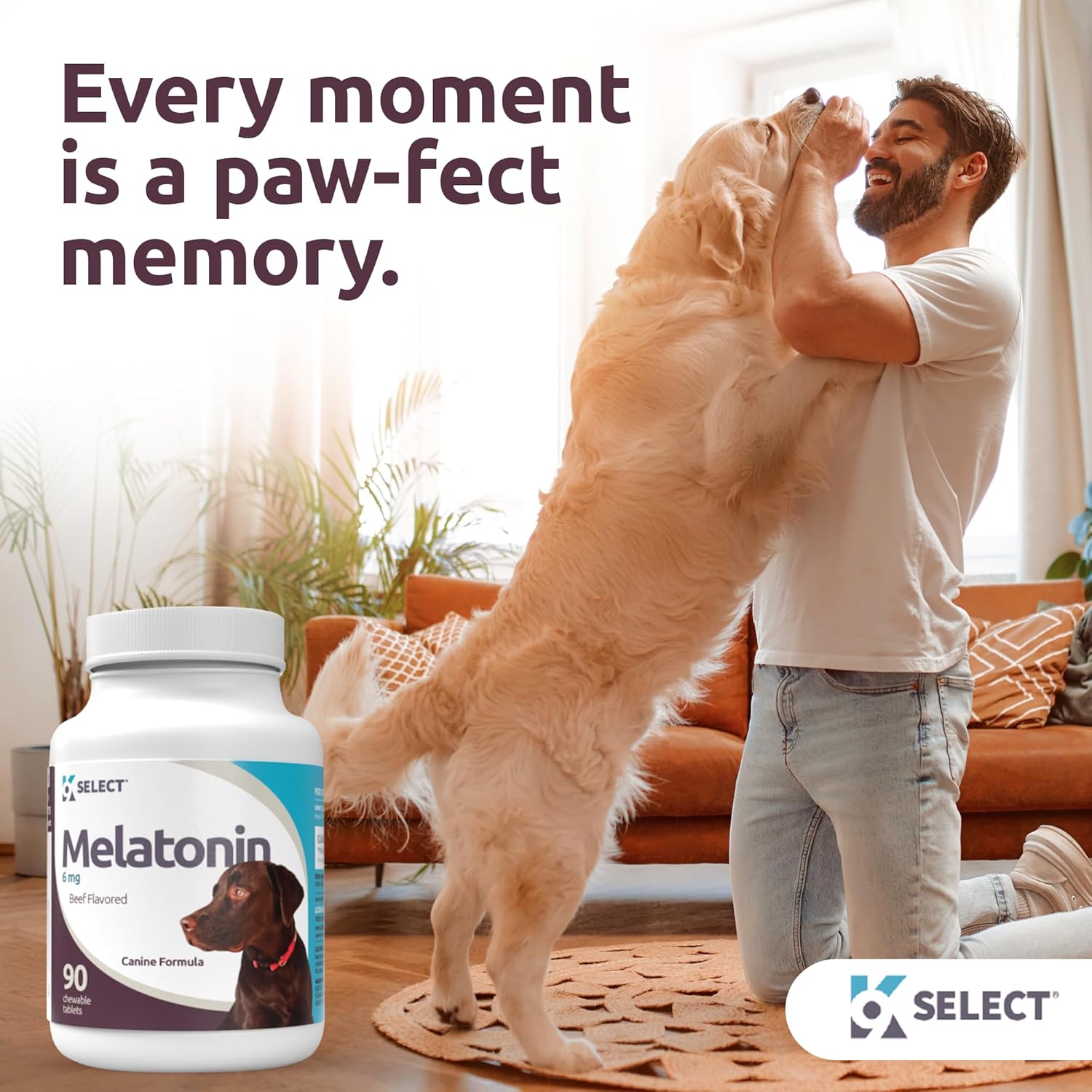 K9 Select Melatonin For Dogs - Composure Dog Calming Chews - Dog Melatonin For Sleep - Reduce Stress Helps Composure Calming Treats For Large Dogs - 6 Mg, 90 Beef Flavored Chewable Tablets : Pet Supplies