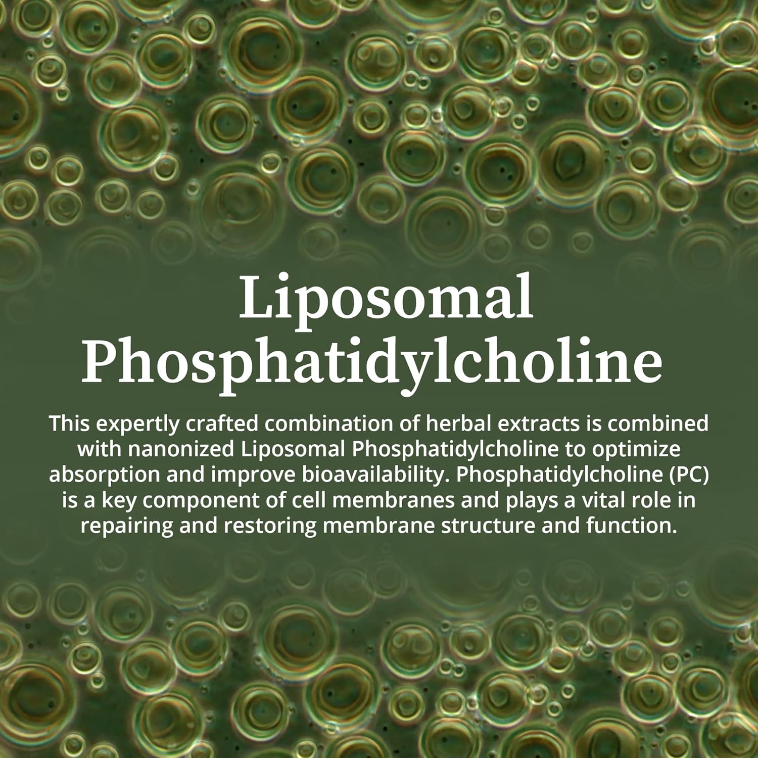 Biopure Cocktail Liposomal Herbal Blend – Potent Formulation Of Immune Supportive Tinctures With Phosphatidylcholine To Support Microbial Balance, Effective Lymphatic Circulation & More – 2 Fl. Oz. : Health & Household