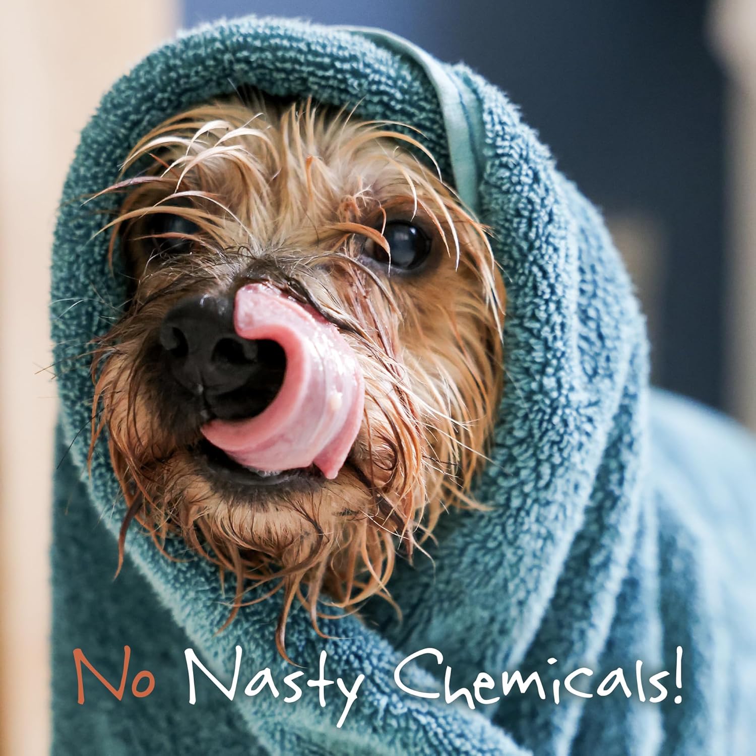 Little Beast Scruffy Dog Shampoo Bar | Detangling Dog Shampoo with Marshmallow Root Oil, Pink Clay & Shea Butter | Vegan, Cruelty-Free, No SLS or Parabens | 100g : Amazon.co.uk: Pet Supplies