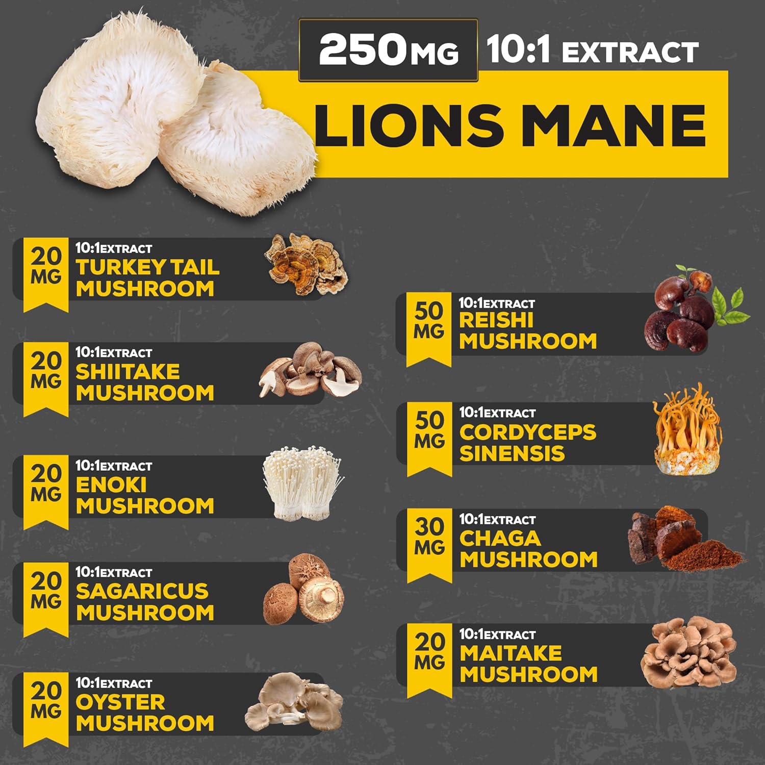 Satoomi 10In1 Mushroom Supplement Complex - Lions Mane, Cordyceps, Reishi, Chaga And 6 More - Brain Supplements For Memory & Focus - 90 Count - 3 Months Supply : Health & Household