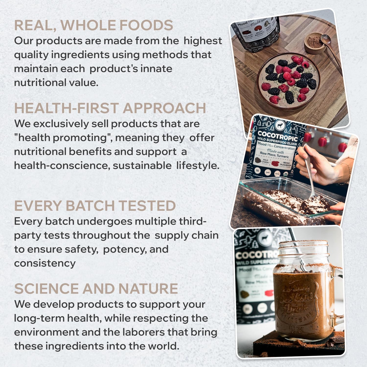 Wild Cocotropic Organic Mushroom Cocoa Mix - Healthy Vegan Hot Chocolate Mix - Organic Cacao Powder, Reishi, Chaga, Maca, Turmeric - 3Rd Party Tested - Sugar Free - Keto & Paleo - (2 Packs Of 16Oz) : Grocery & Gourmet Food