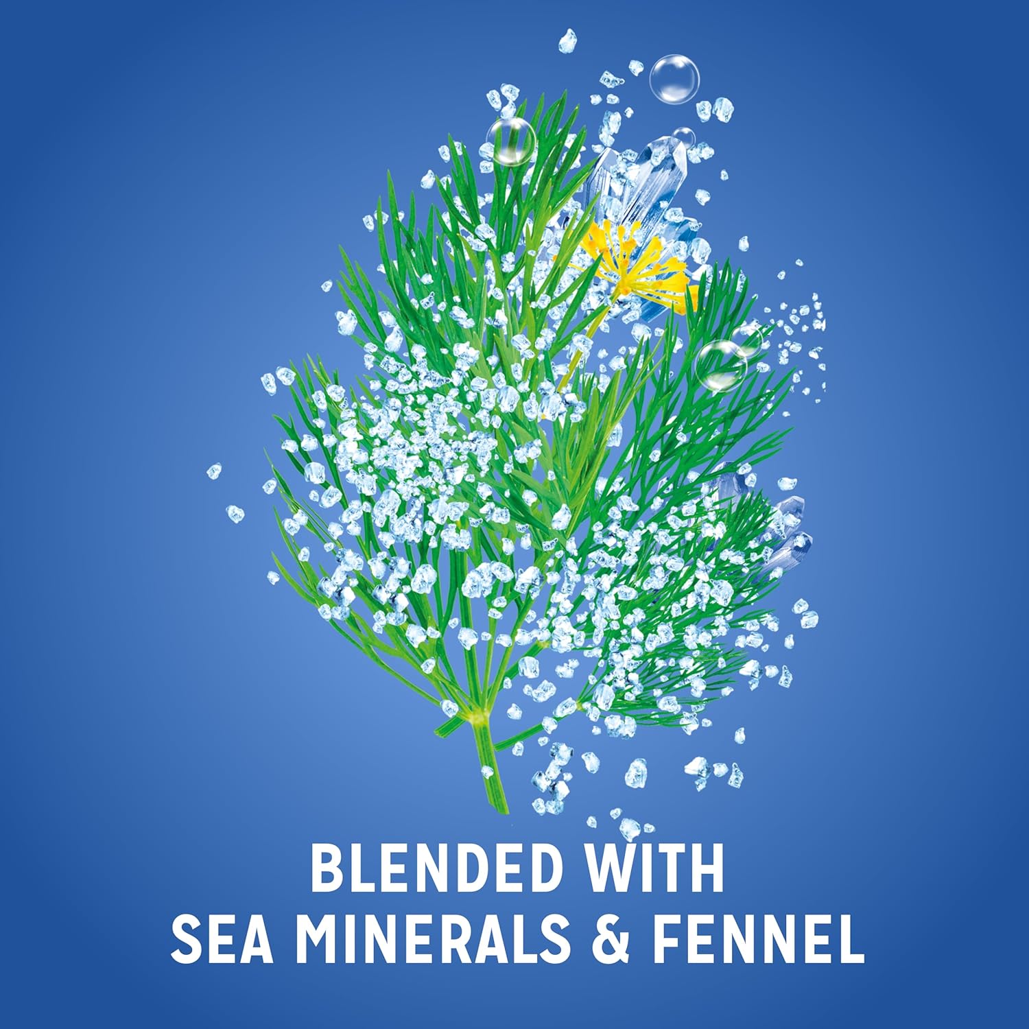 Radox Mineral Therapy Feel Awake 2-in-1 Body Wash & Shampoo Shower Gel with a sea mineral & fennel fragrance for a refreshing experience 450 ml : Amazon.co.uk: Beauty