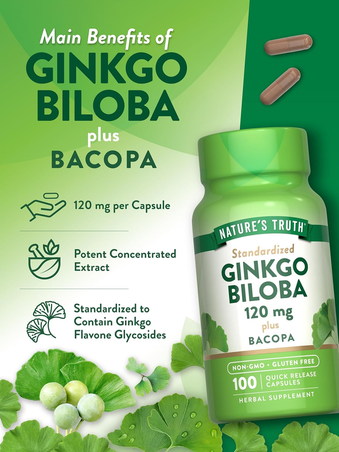 Ginkgo Biloba 120mg | Plus Bacopa | 100 Quick Release Capsules | Standardized Extract | Non-GMO and Gluten Free Supplement | by Nature's Truth : Health & Household