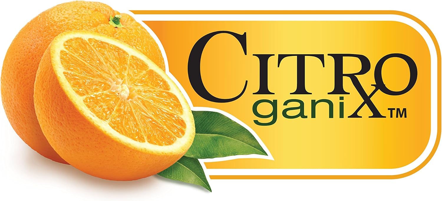 Nuby Dish Detergent Naturally Inspired with Citroganix by Dr. Talbot's, Lemon Lime, 10 Fluid Ounce : Health & Household