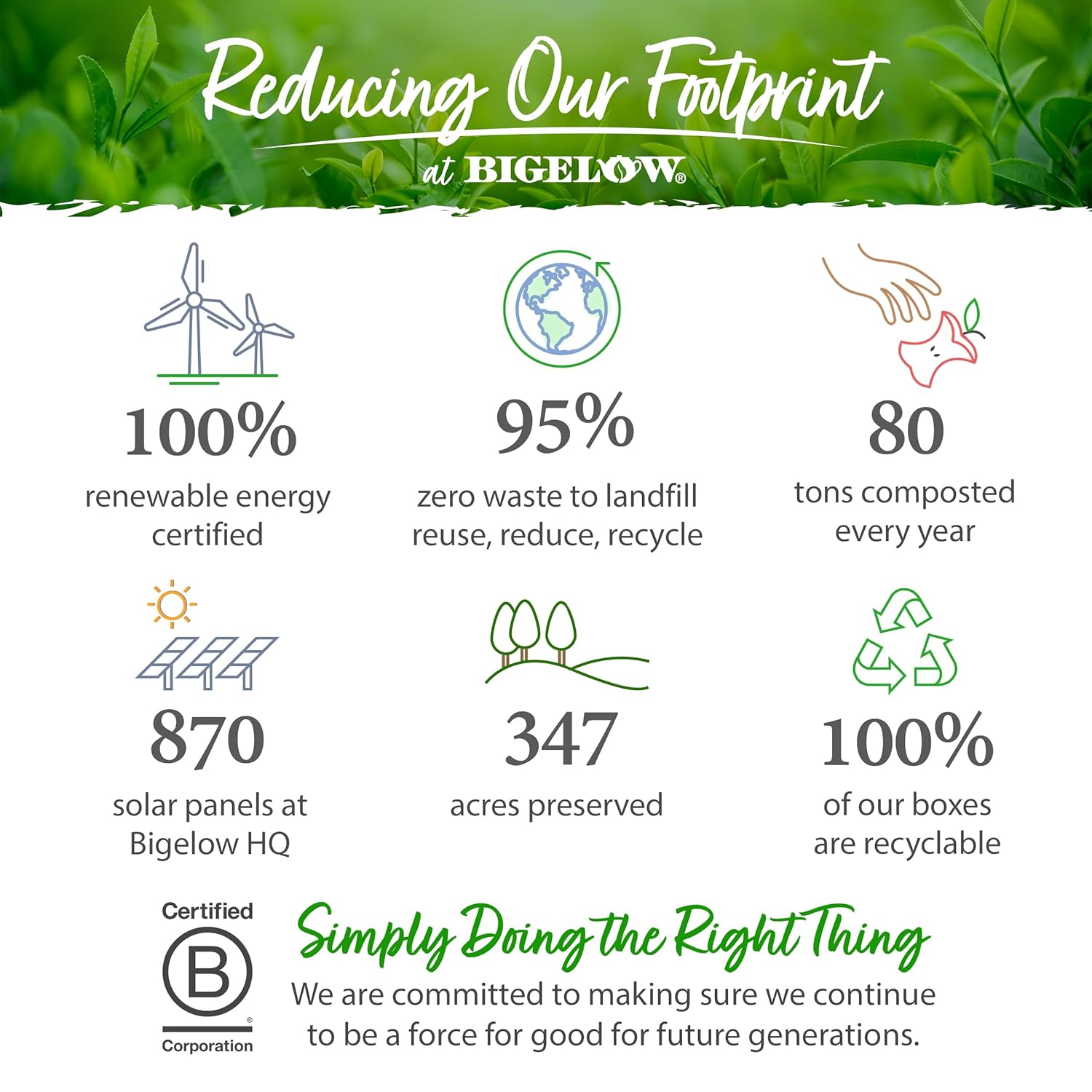 Bigelow Tea Benefits Refresh Turmeric Chili Matcha Keurig K-Cup Pods Green Tea, Caffeinated, 10 Count (Pack Of 6), 60 Total K-Cup Pods