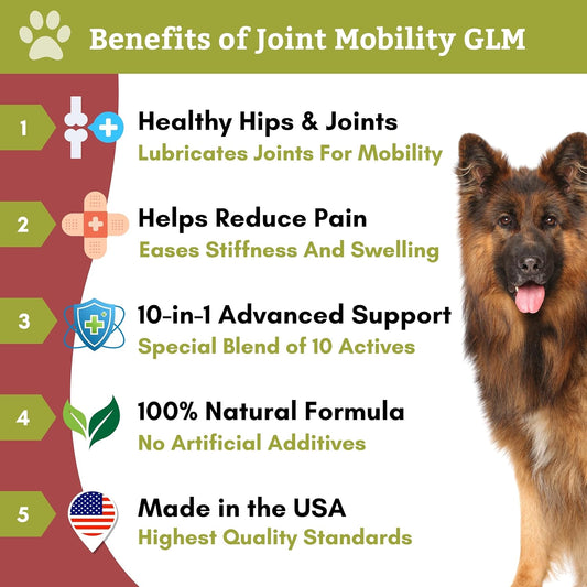 Wholistic Pet Organics: Joint Support Supplement for Dogs - Green Lipped Mussel (1lb) with Glucosamine & Chondroitin - Dog Hip & Joint Pain Relief - Natural Arthritis Relief & Long-Term Joint Health