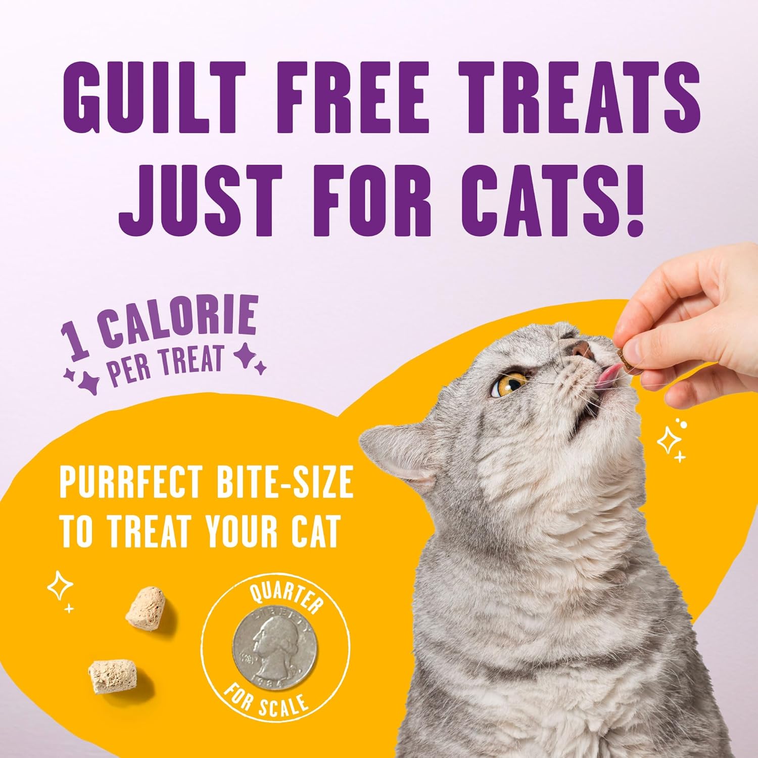 Stella & Chewy's Meowfulls Freeze Dried Cat Treats Chicken & Chicken Liver Recipe, 1.5 oz Bag