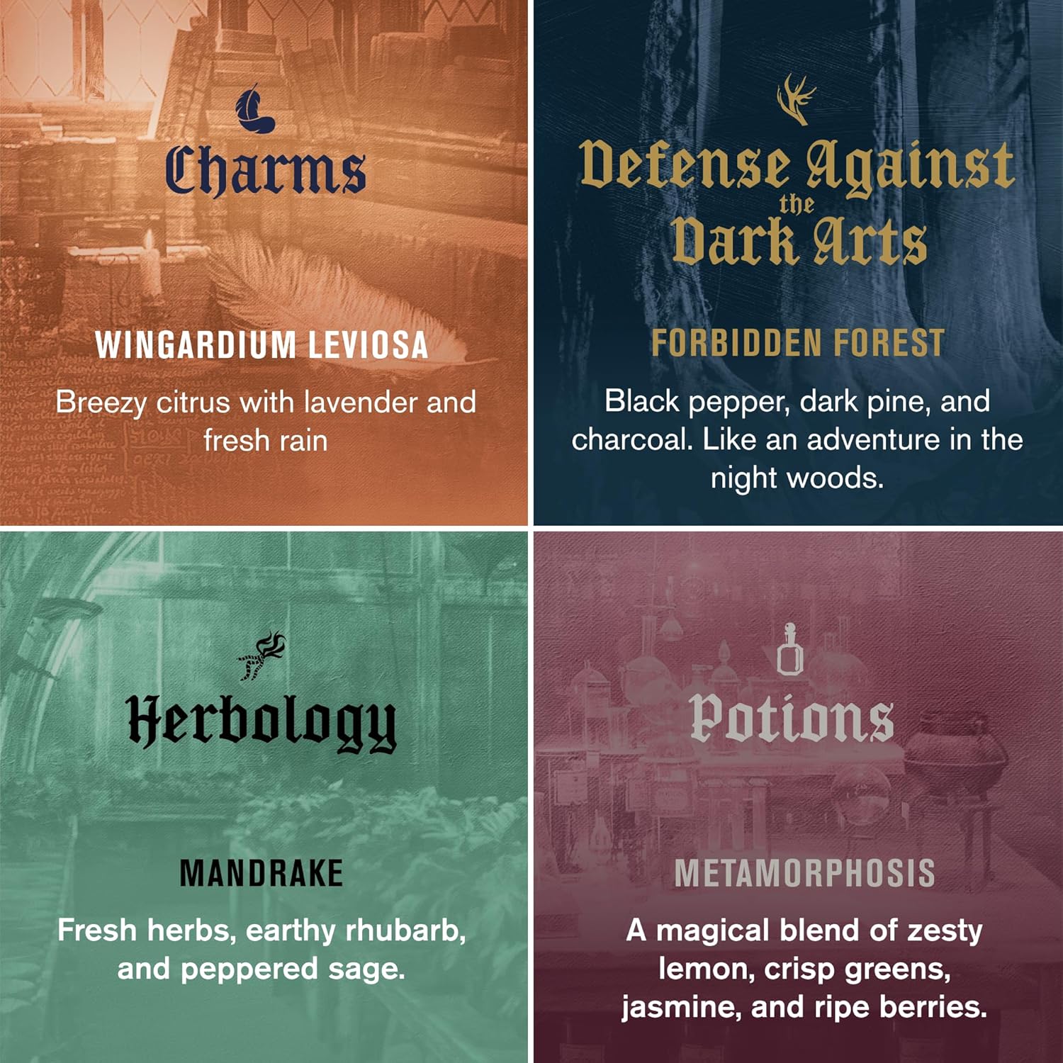 Every Man Jack Harry Potter Collectors Body Wash Gift Set - Includes 4 Body Washes With Clean Ingredients & Hogwarts Inspired Scents - Forbidden Forest, Charms, Herbology, Potions : Beauty & Personal Care