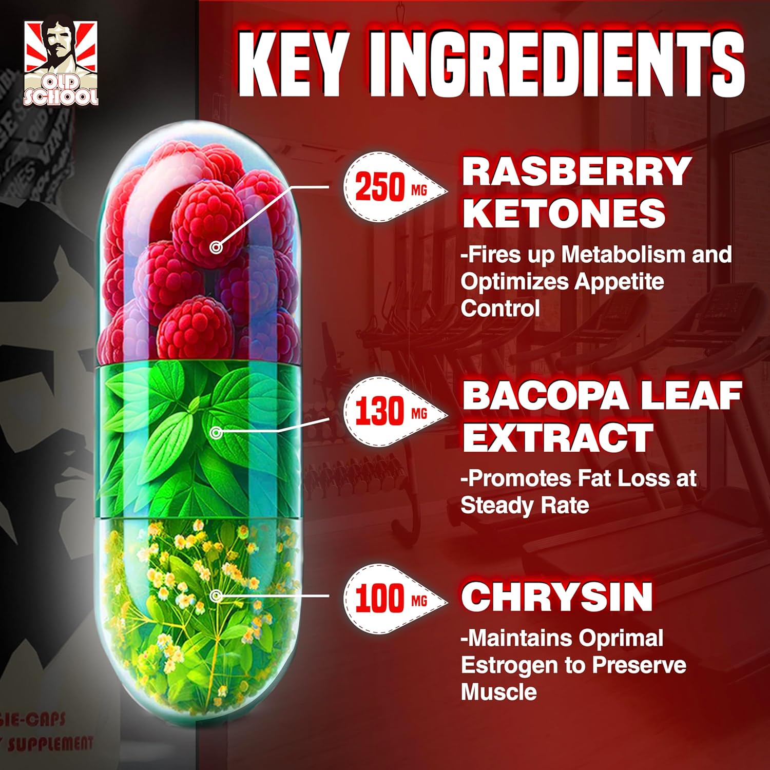 Old School Labs Fat Burner | The First Weight Loss Pills to Preserve Lean Muscle & Burn Stubborn Fat | Appetite Suppressant for Weight Loss Formulated to Keep Muscle & Increase Energy | 120 Diet Pills : Health & Household
