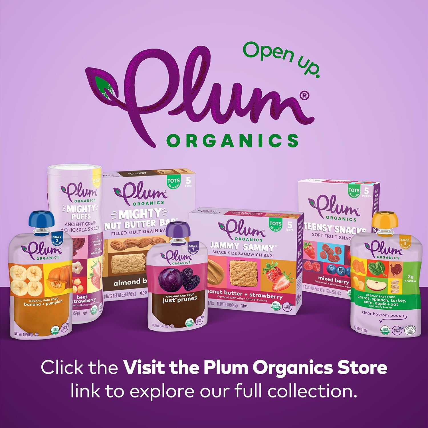 Plum Organics Mighty Snack Bars - Blueberry - 0.67 oz Bars (Pack of 6) - Organic Fruit and Vegetable Toddler Food Snack Bars : Baby