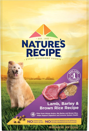 NatureS Recipe Lamb, Barley & Brown Rice Recipe Dry Dog Food, 12 Lb. Bag