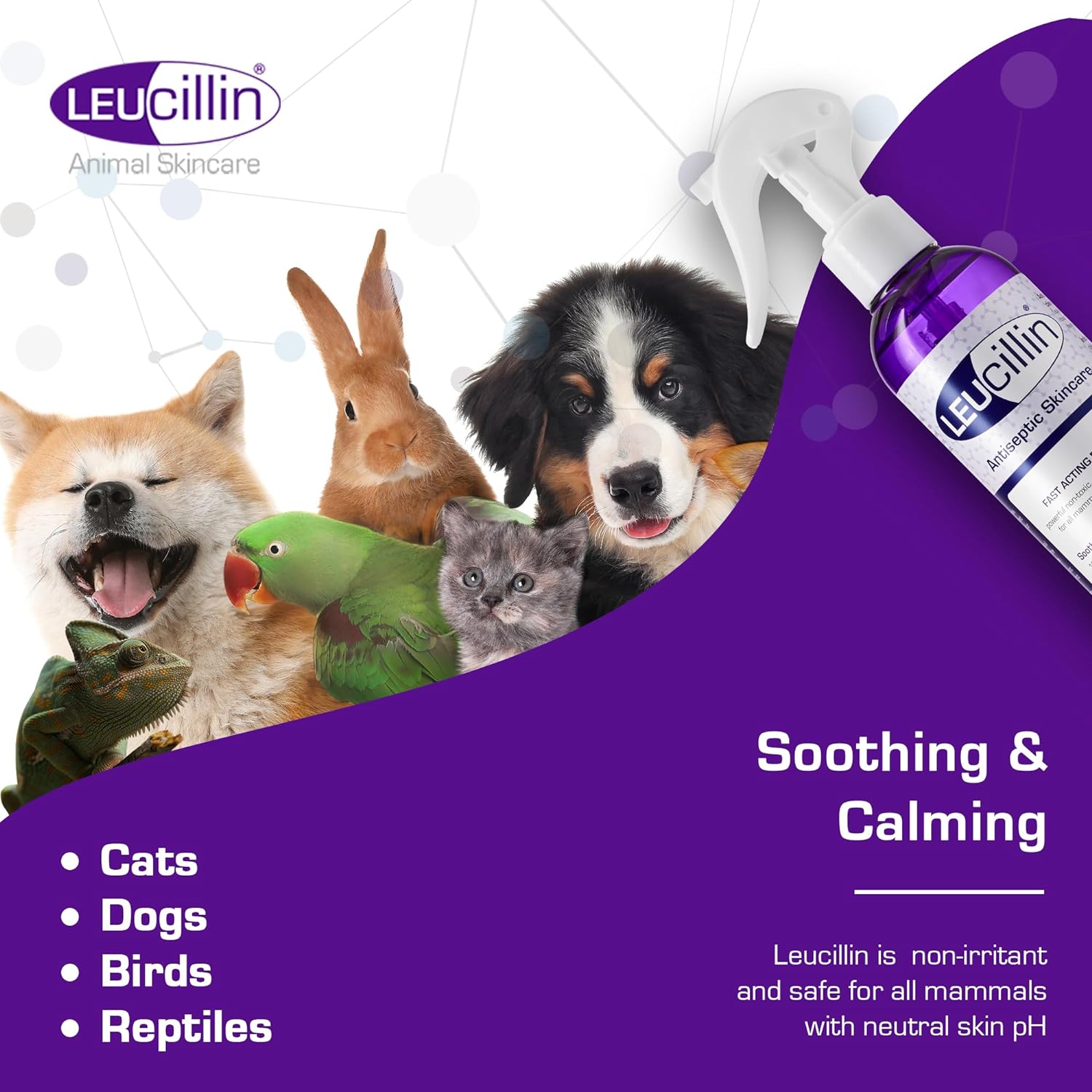 Leucillin Natural Antiseptic Spray for Dogs, Soothes Itchy Skin and Promotes Healing, Effective Treatment for Dogs, Wound and Skin Care Solution for Pets, First Aid Kit Essential - 250ml : Pet Supplies
