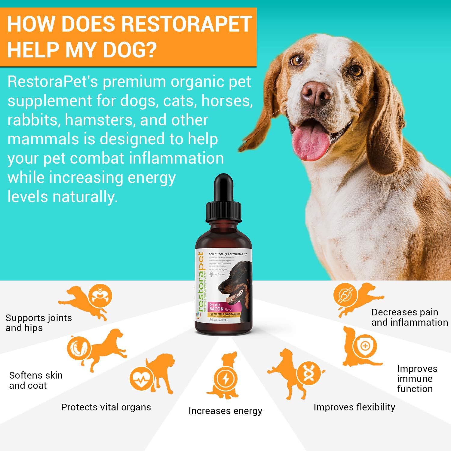 RestoraPet 1-Pack Dog & Cat Bacon Liquid Multivitamin | Dog Arthritis Pain Relief | Hip & Joint Vitamins for Dogs - Anti Inflammatory Supplement for Dogs & Cats | Organic & Non-GMO, Vet Approved : Pet Supplies