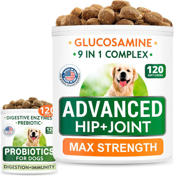 Glucosamine Treats + Probiotics Chews Bundle - Senior Advanced Joint Health + Upset Stomach Relief - Chondroitin, Omega-3 + Digestive Enzymes, Prebiotics - Hip & Joint Care + Improve Immunity - 240Ct