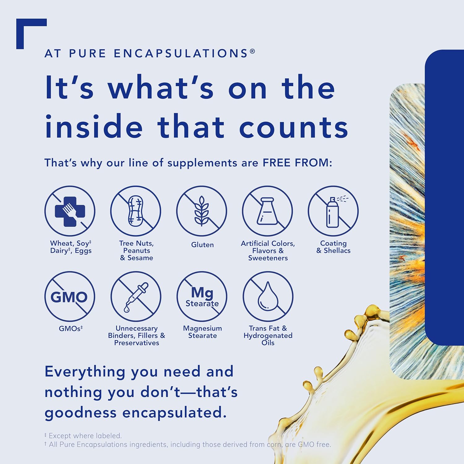 Pure Encapsulations Nutrient 950 Without Iron | Supplement To Support Cardiovascular, Immune, And Cellular Health, Bones, Hormone Metabolism, And Carbohydrate Utilization* | 180 Capsules