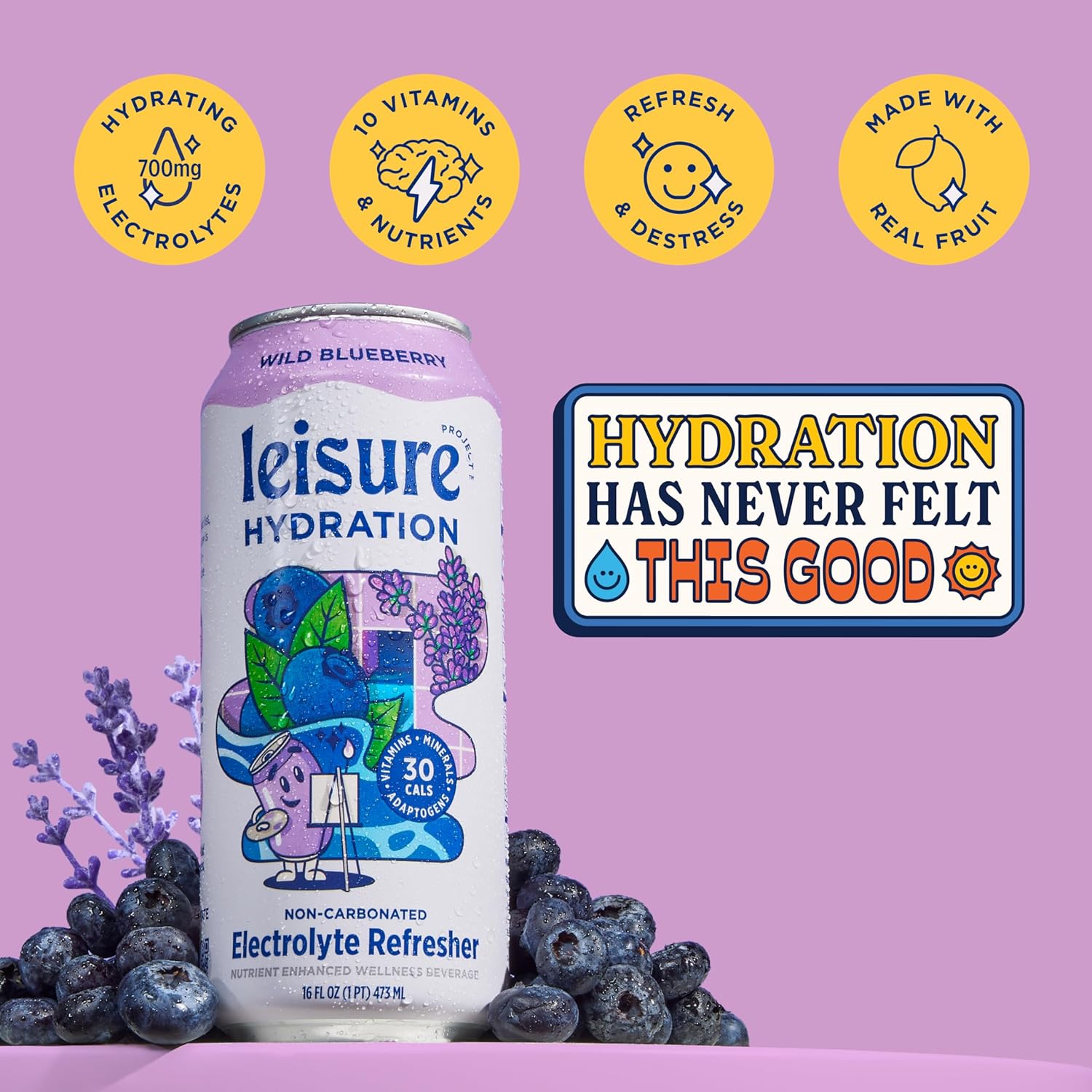 Leisure Drinks - Blueberry Electrolyte Drink [Electrolyte Refresher - 16Oz Cans, 12Pk] - Low Sugar Hydration Drink - Healthy Beverage Packed W/ Magnesium, Ashwagandha, & Minerals For Mood & Stress Support