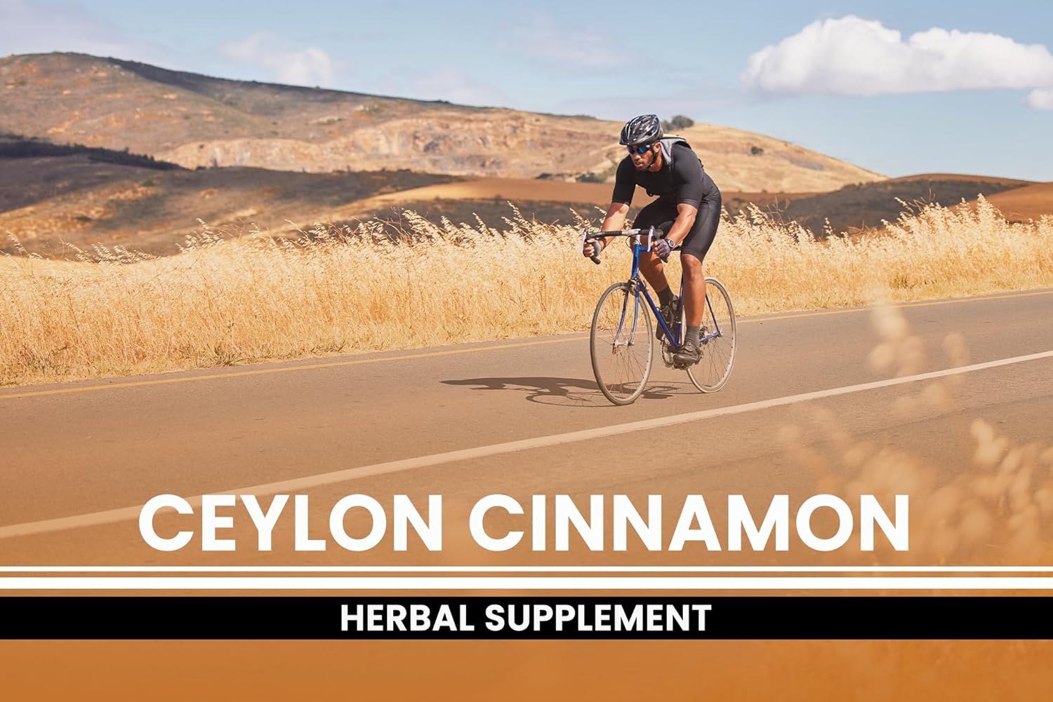 Pure Original Ingredients Ceylon Cinnamon (730 Capsules) No Magnesium or Rice Fillers, Always Pure, Lab Verified : Health & Household