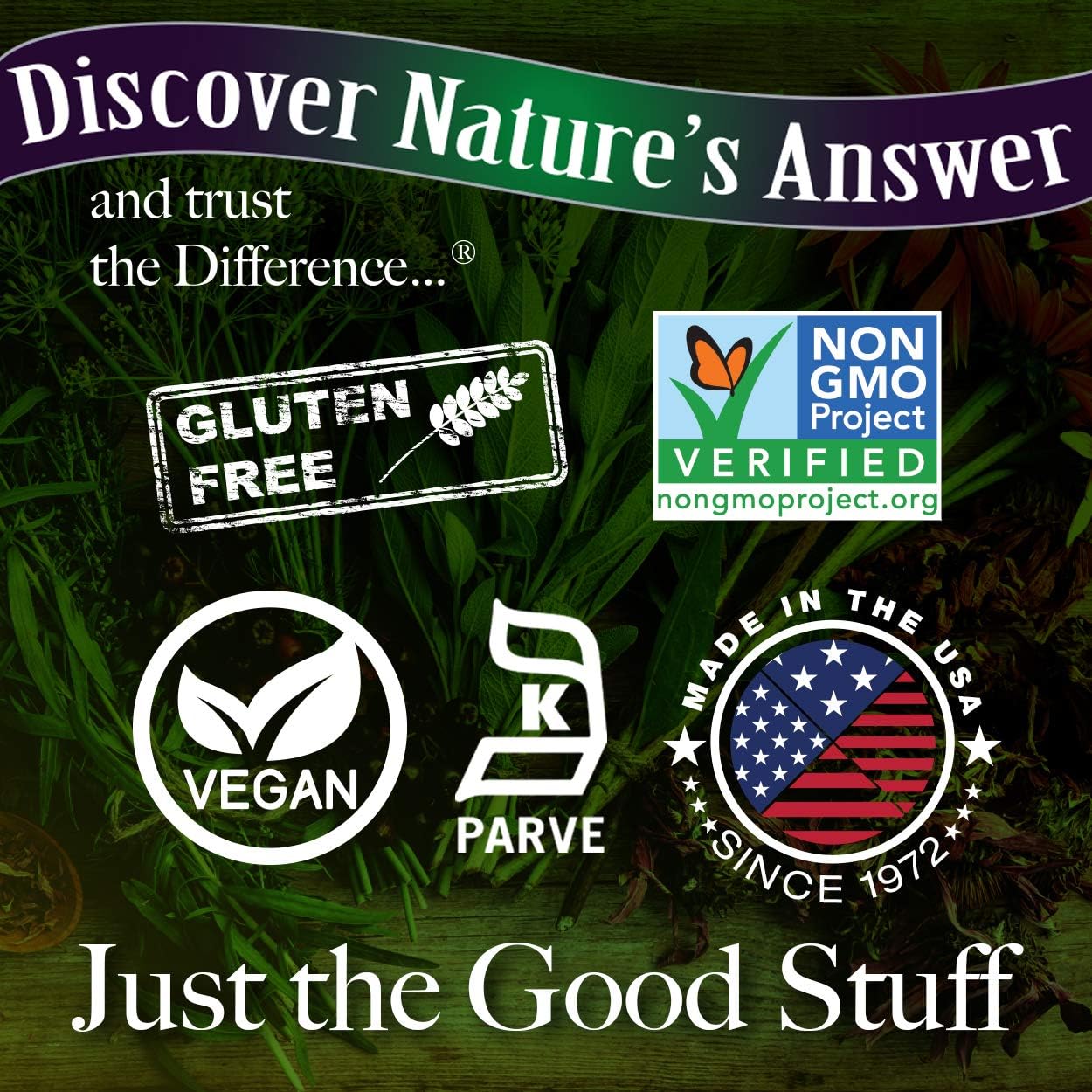 Nature's Answer Alcohol-Free Sambucus Dietary Supplement 16oz Liquid | Daily Immune and Antioxidant Support | Made in The USA | Gluten-Free & Vegan | Single Count : Health & Household