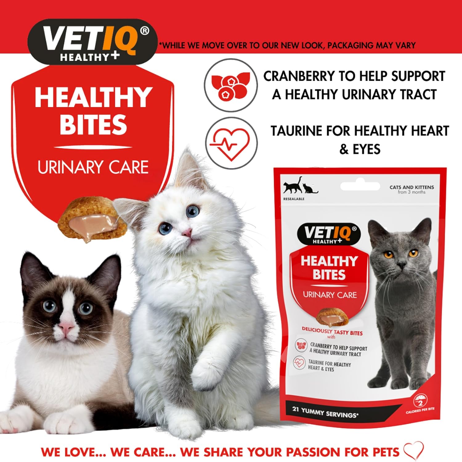 VETIQ Healthy Bites Urinary Care Treats for Cats & Kittens 3+ Months, with Cranberry, Taurine and Prebiotic Fibre, 65 g (Pack of 4) :Pet Supplies