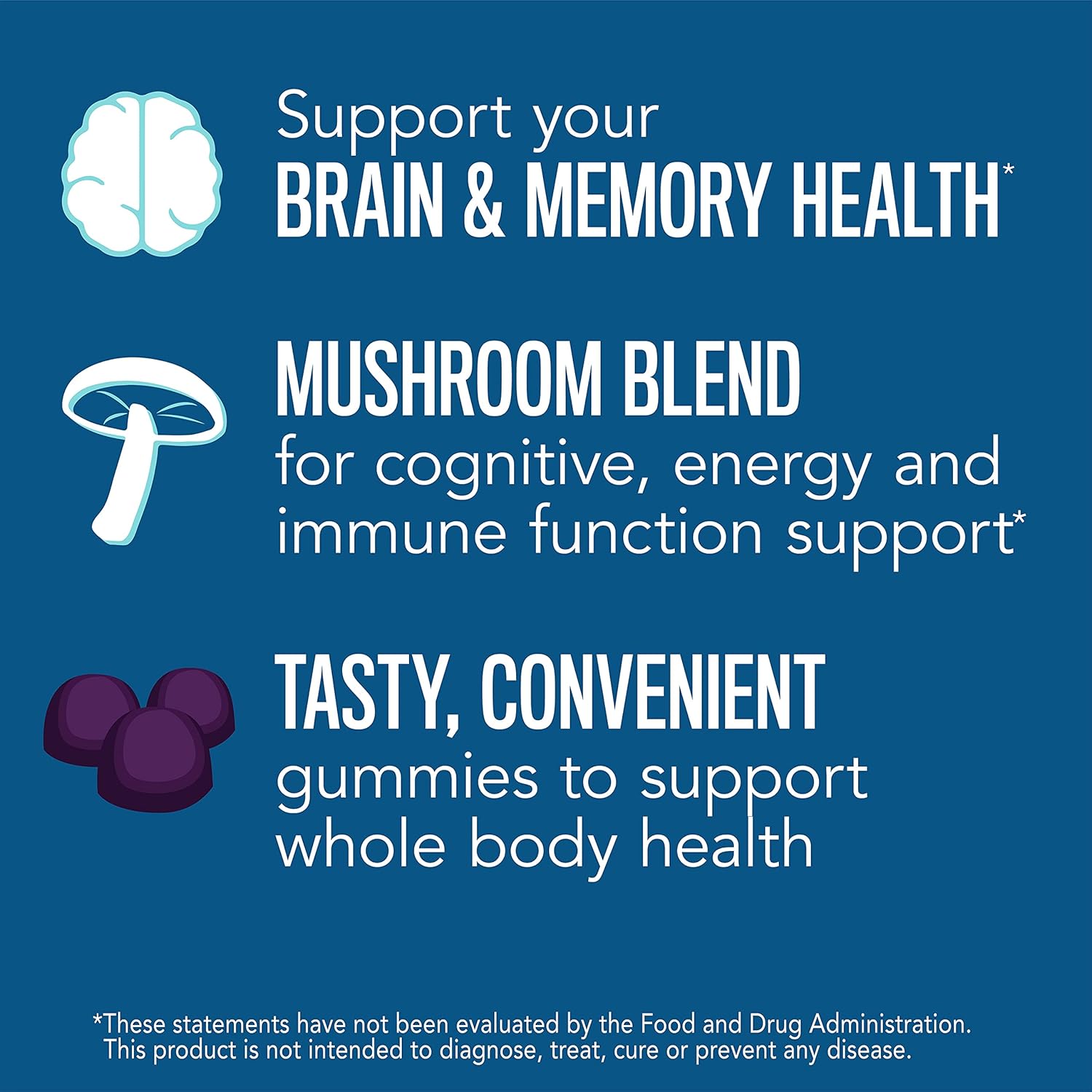 Natural Vitality Brain Health & Memory Gummies; Provides Daily Brain Health Support; Functional Mushroom Extract Blend; Vegan, Gluten Free; Delicious, Raspberry avored; 60 Gummies