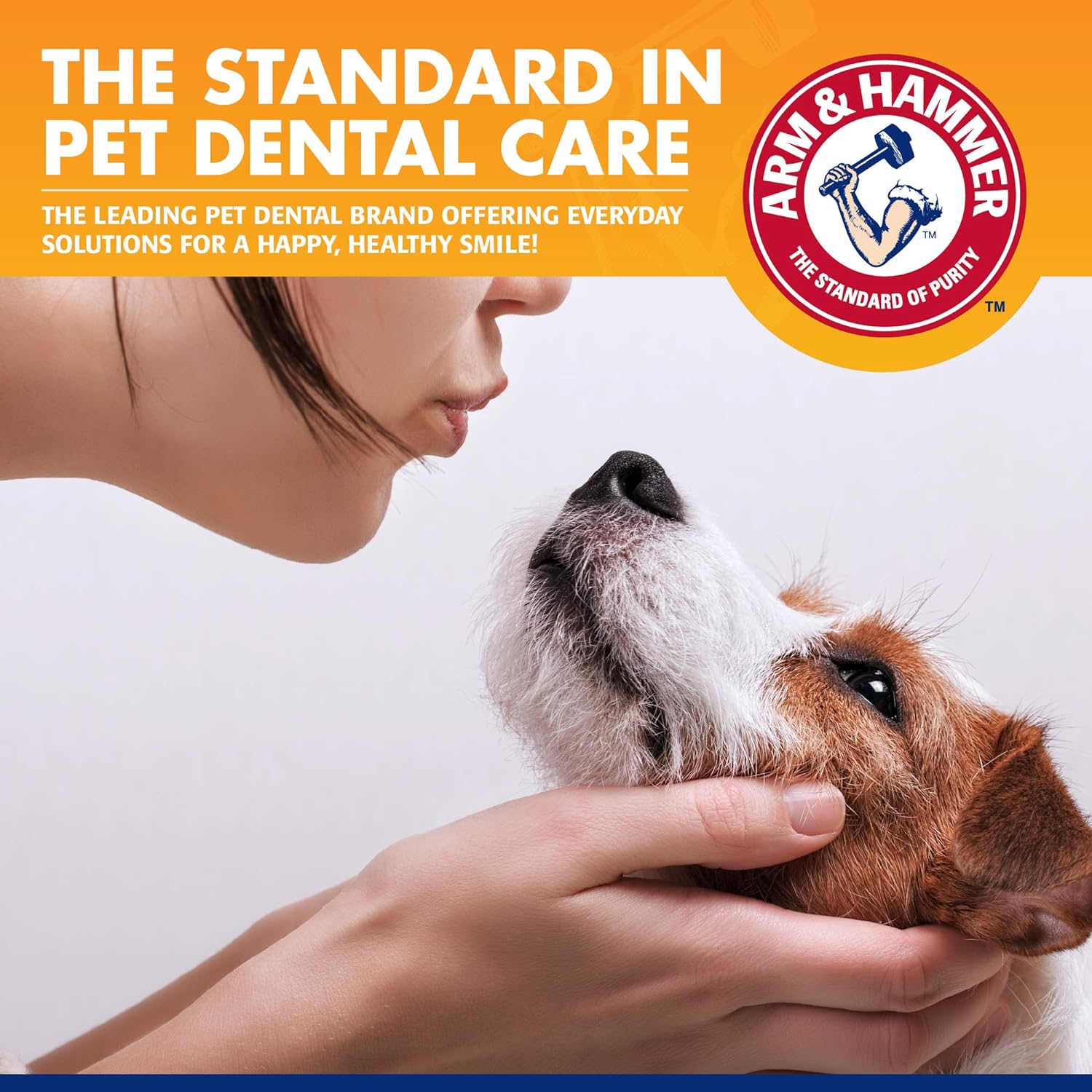 Arm & Hammer for Pets Clinical Care Travel Dental Kit for Dogs in Vanilla Ginger Flavor | Dog Toothbrush and Toothpaste Set Safe for All Dogs | All In One Solution To Dog Teeth Cleaning : Everything Else