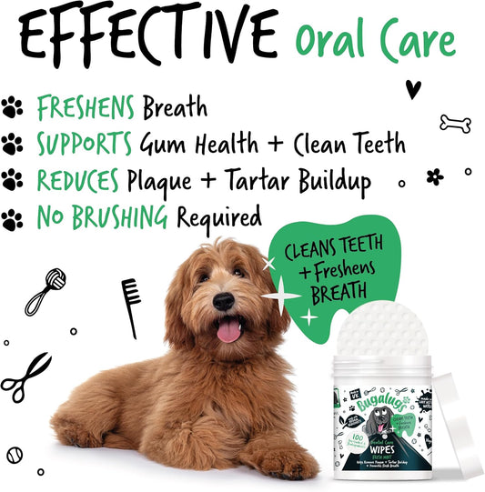 BUGALUGS Dog Breath Freshener Dog Teeth Wipes - Dog Plaque Remover Dog Wipes & tartar remover for teeth. Dog Teeth Cleaning Product No Dog Toothbrush And Toothpaste Brushing Needed (Dog 100 Wipes)?BDENWPS100